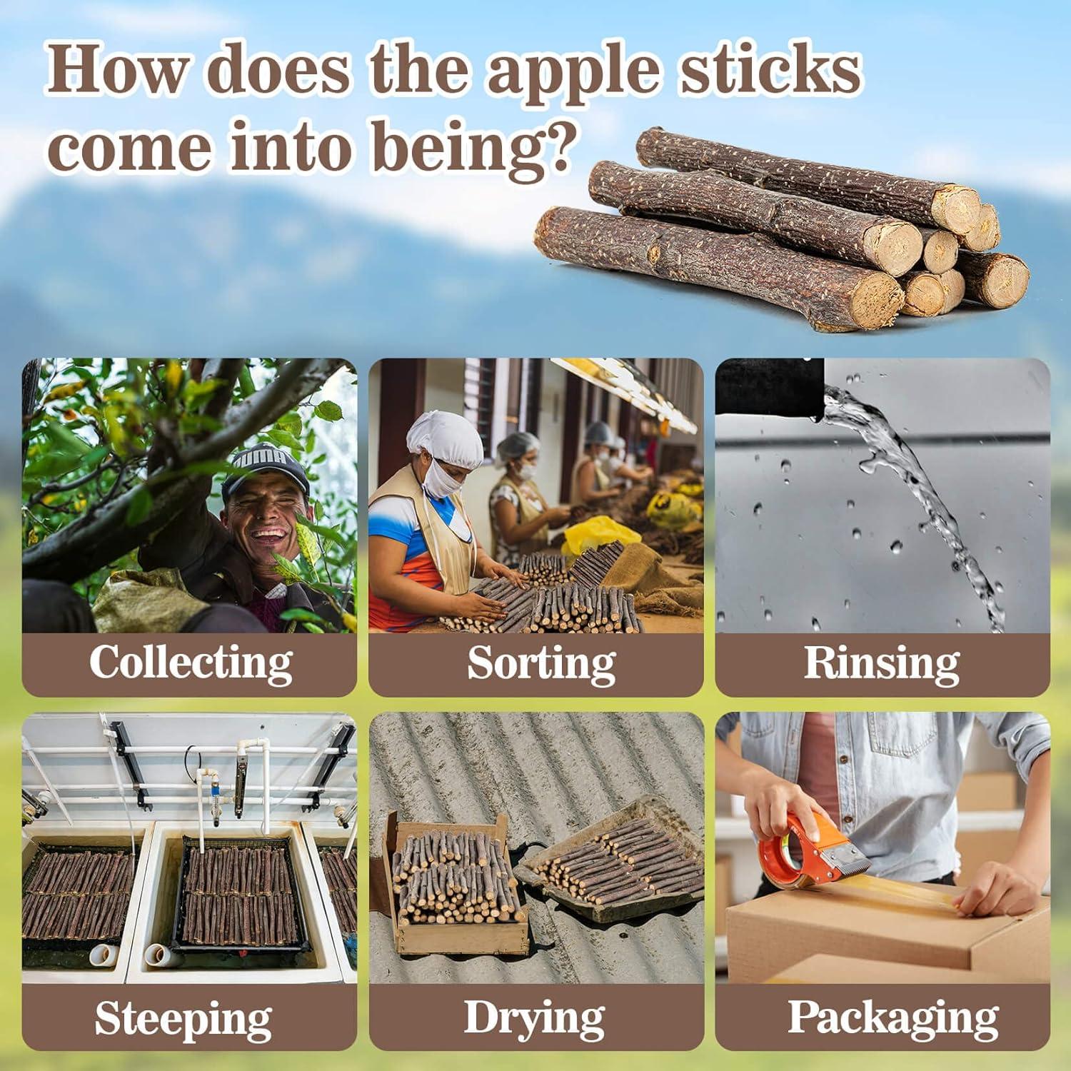 Palitos de Madera de Manzano Orgánicos Sukh - 250g para Hámster y Conejo