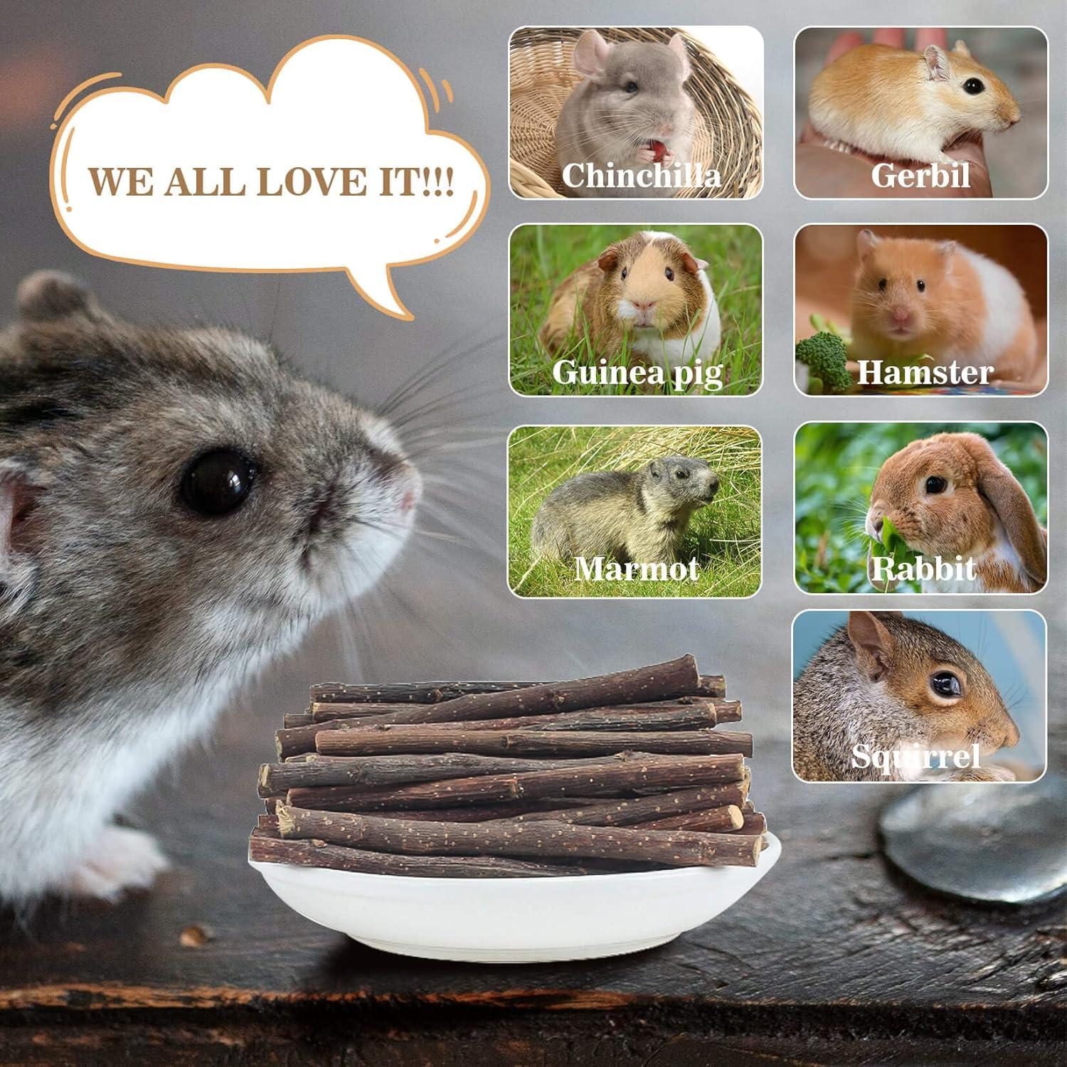 Palitos de Madera de Manzano Orgánicos Sukh - 250g para Hámster y Conejo