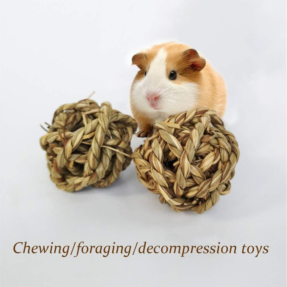 15PCS Juguetes de Bola de Hierba Natural para Mascotas 7.1cm