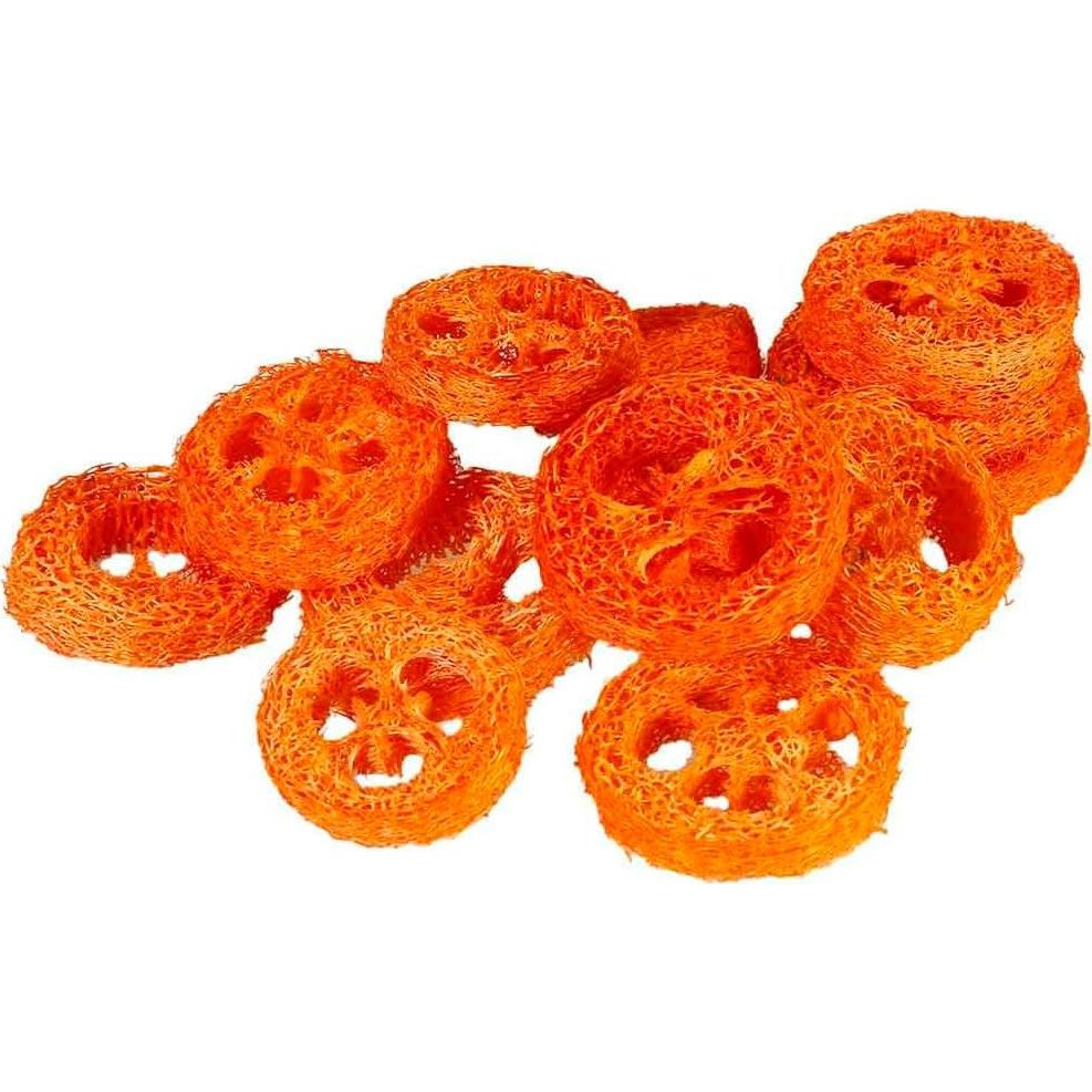 15 Rodajas de Lufa Natural para Masticar Mascotas YOMENO