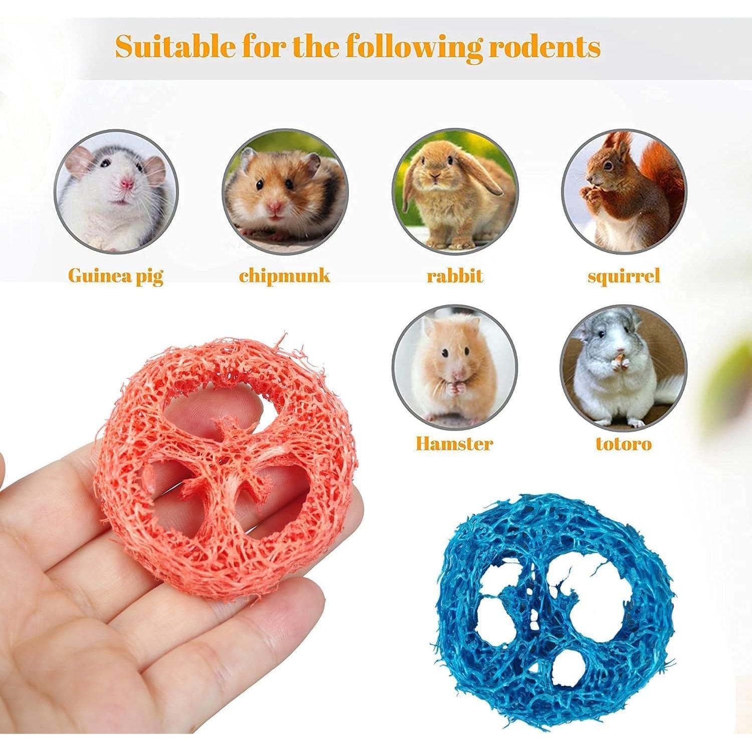 15 Rodajas de Lufa Natural para Masticar Mascotas YOMENO