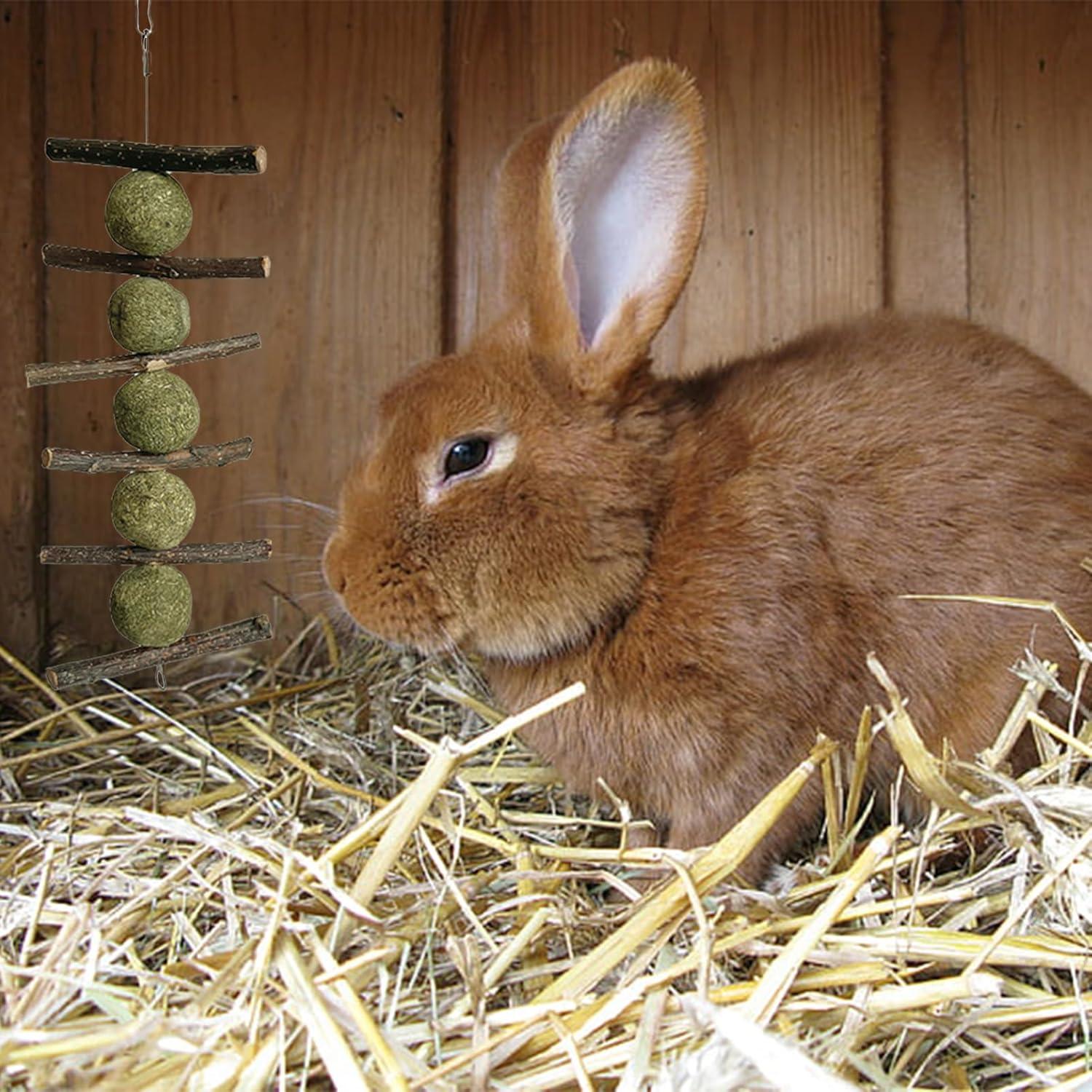 Juguetes de Masticar para Conejos LWINGFLYER - 4 Piezas