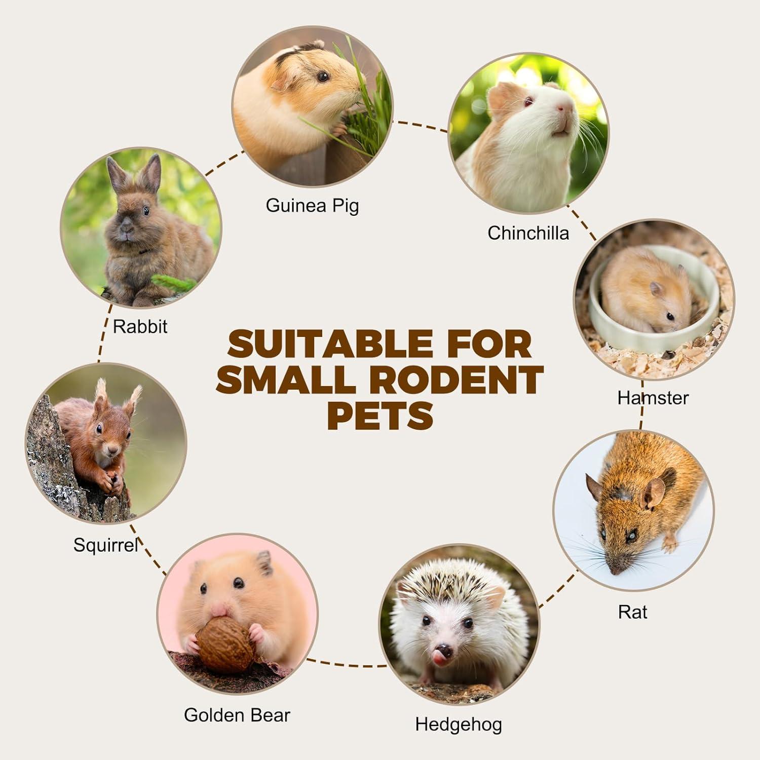 Palitos de Madera de Bambú Dulce Petawi 900g para Conejos y Roedores