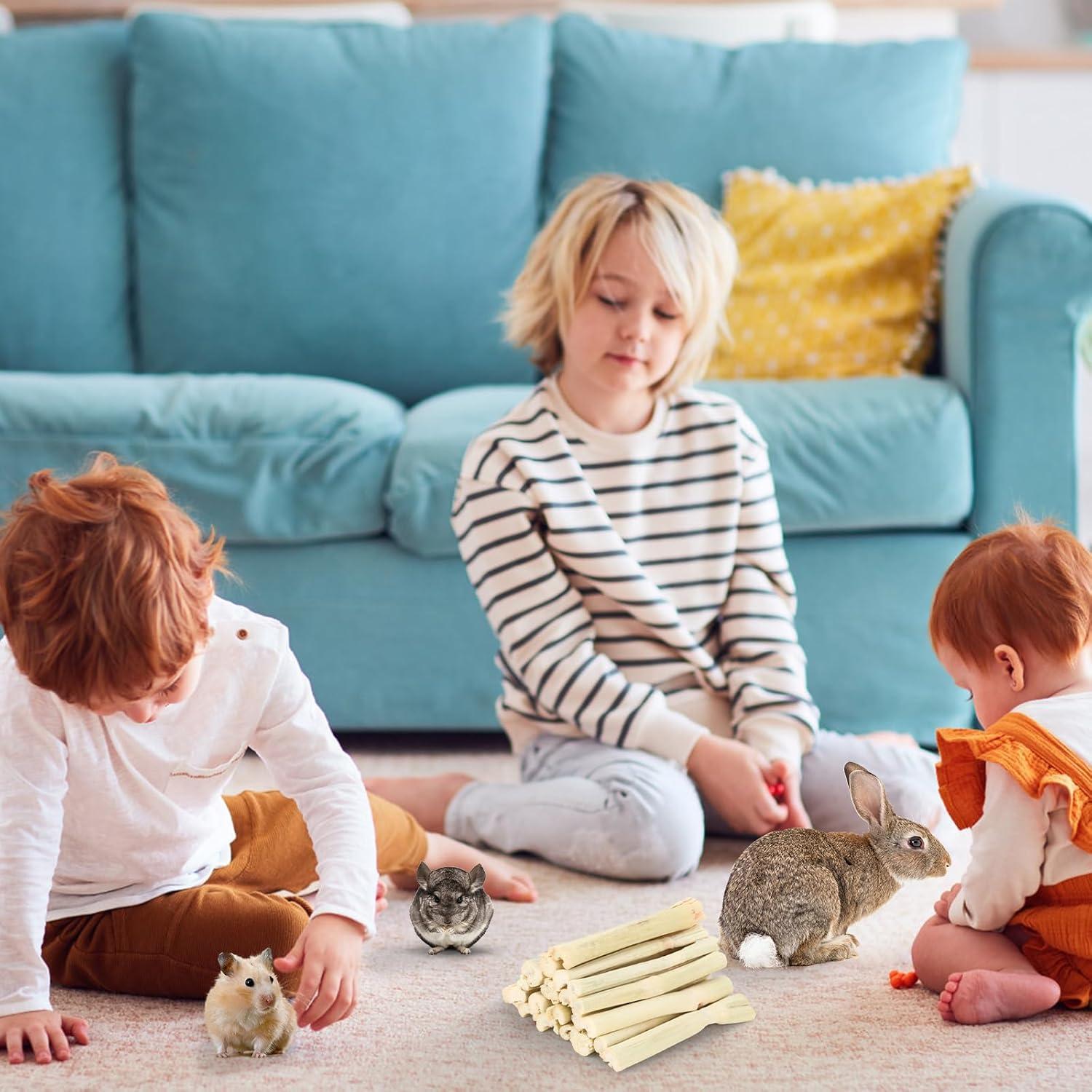 Palitos de Madera de Bambú Dulce Petawi 900g para Conejos y Roedores
