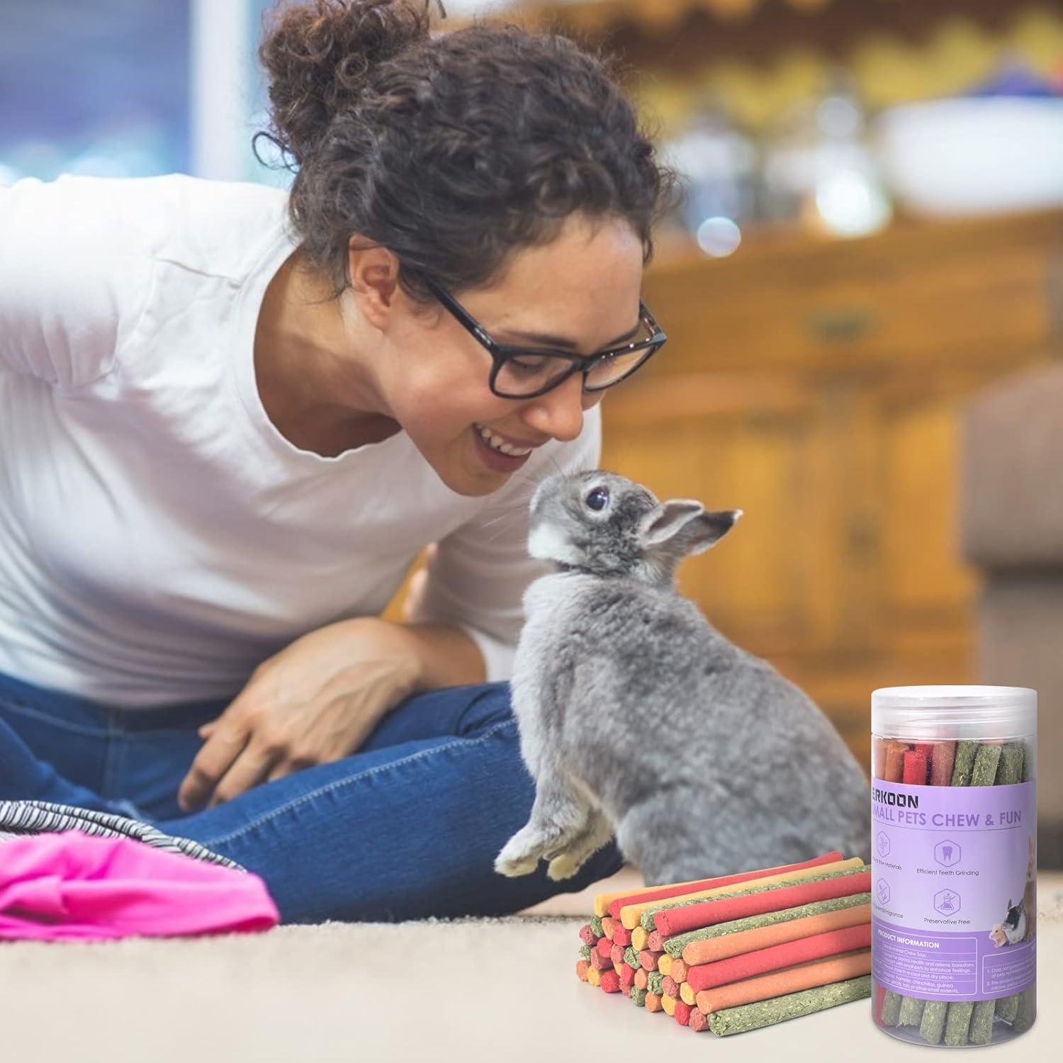 ERKOON 40 Piezas Palitos de Heno Timothy para Roedores