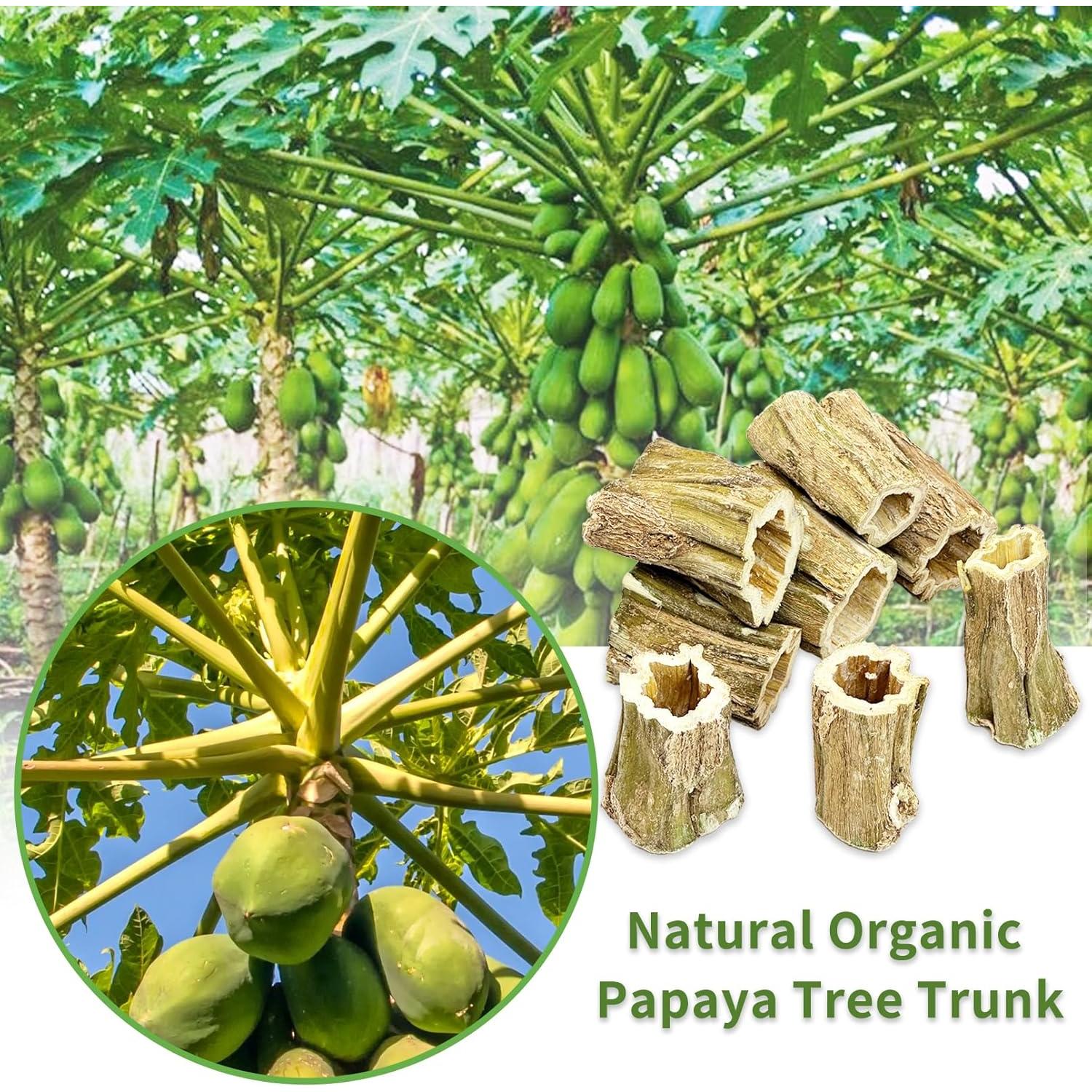 Juguetes para Masticar Fhiny Rabbit 8 PCS Madera de Papaya 5 cm