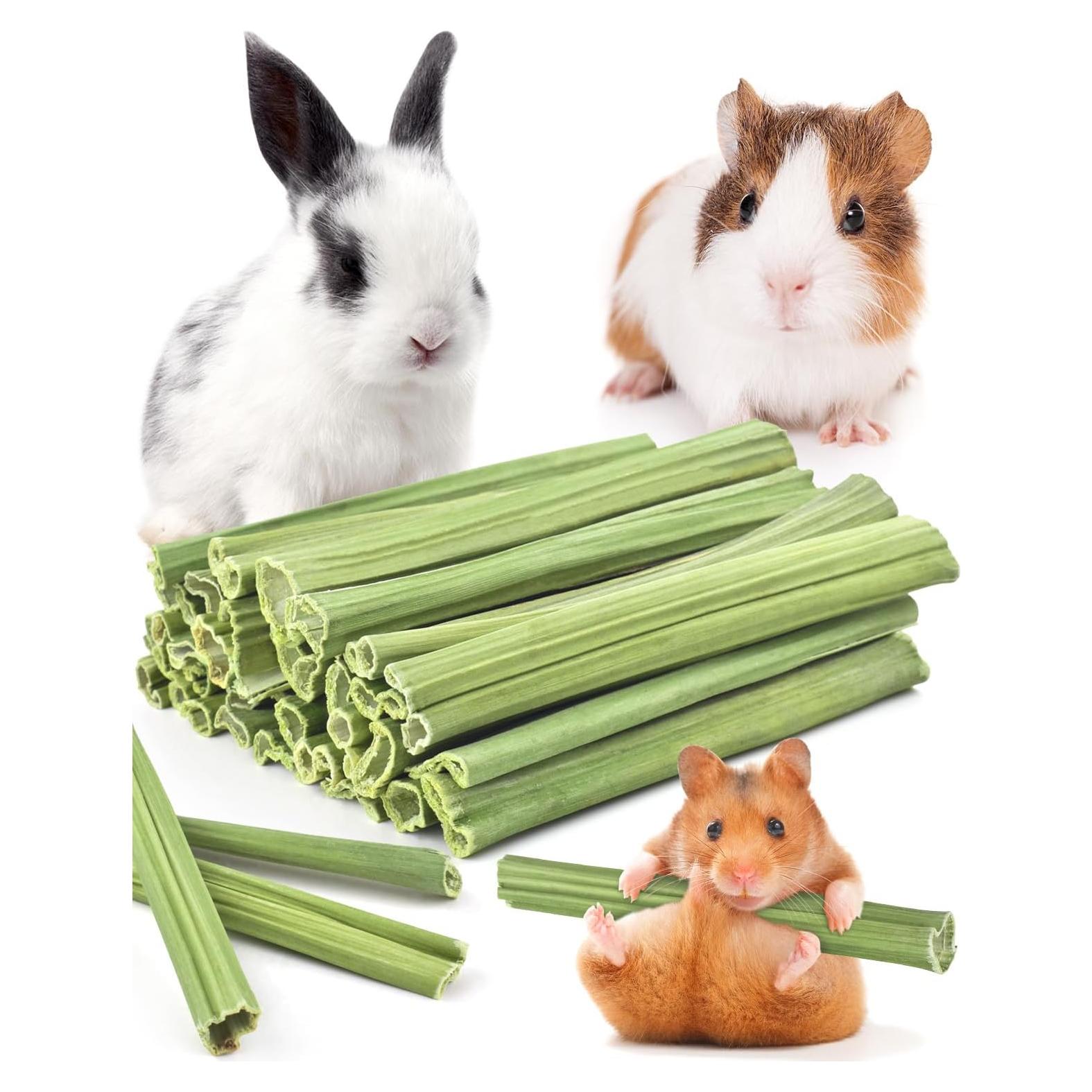 Bissap Palitos Masticables para Conejos 35PCS - Snack Natural