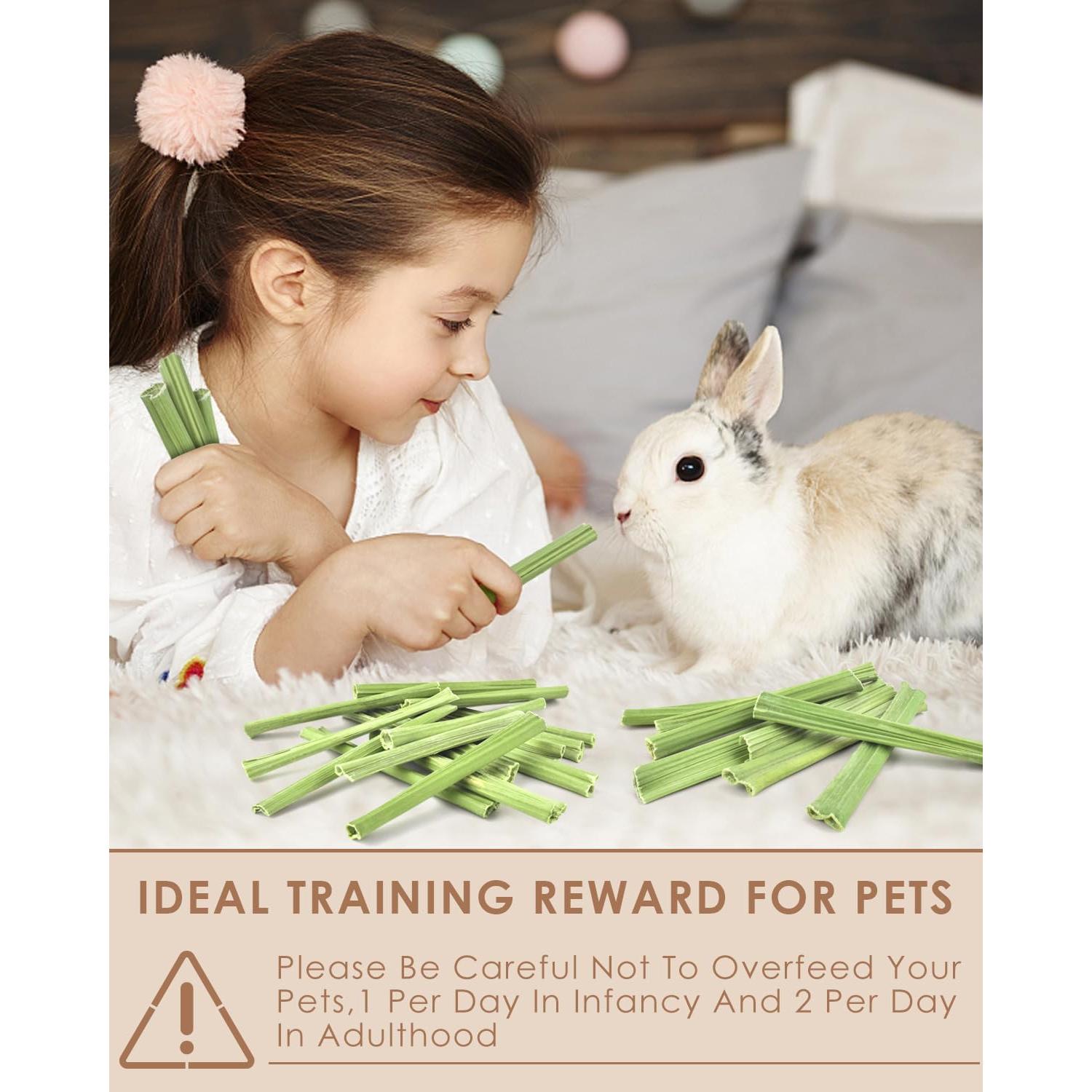 Bissap Palitos Masticables para Conejos 35PCS - Snack Natural