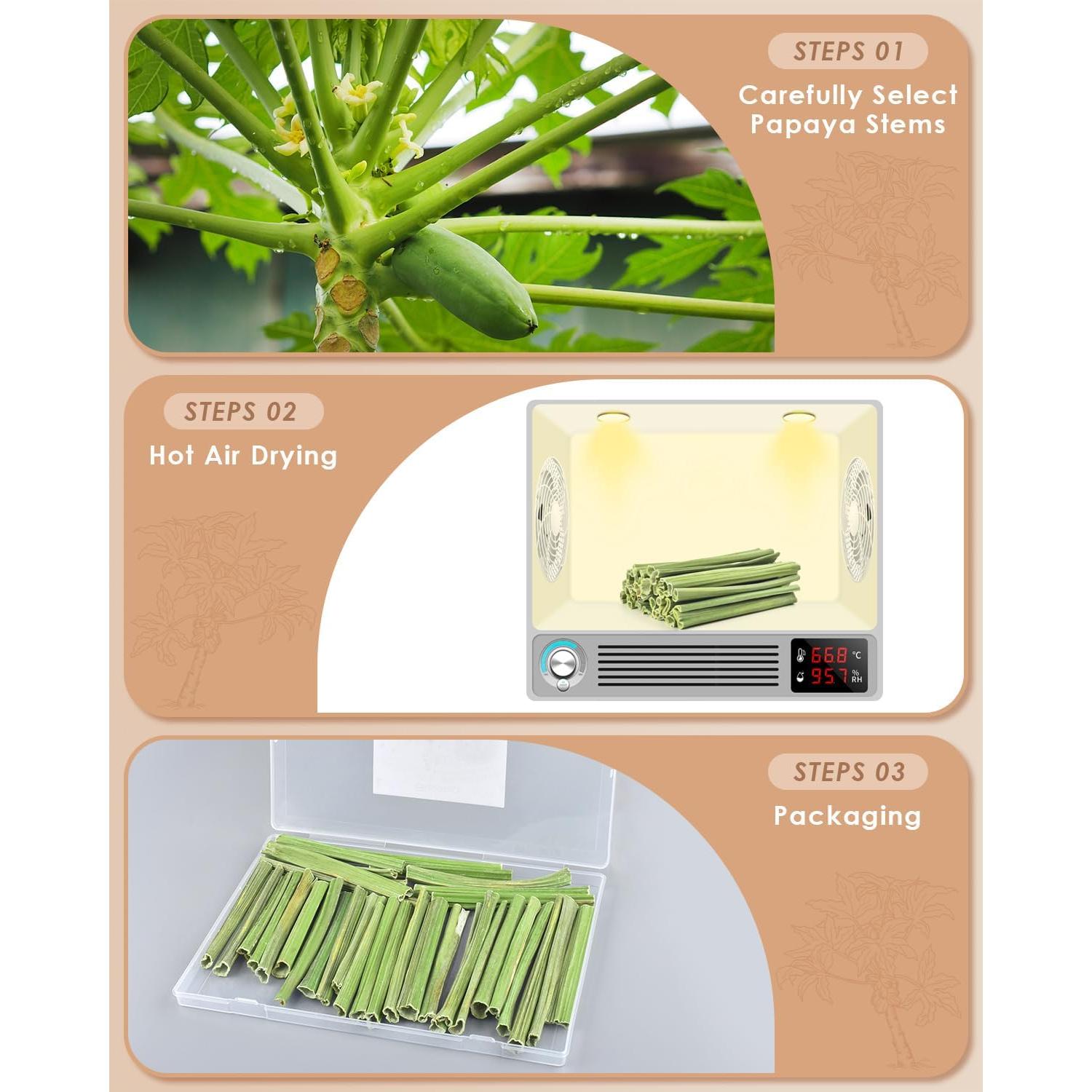 Bissap Palitos Masticables para Conejos 35PCS - Snack Natural