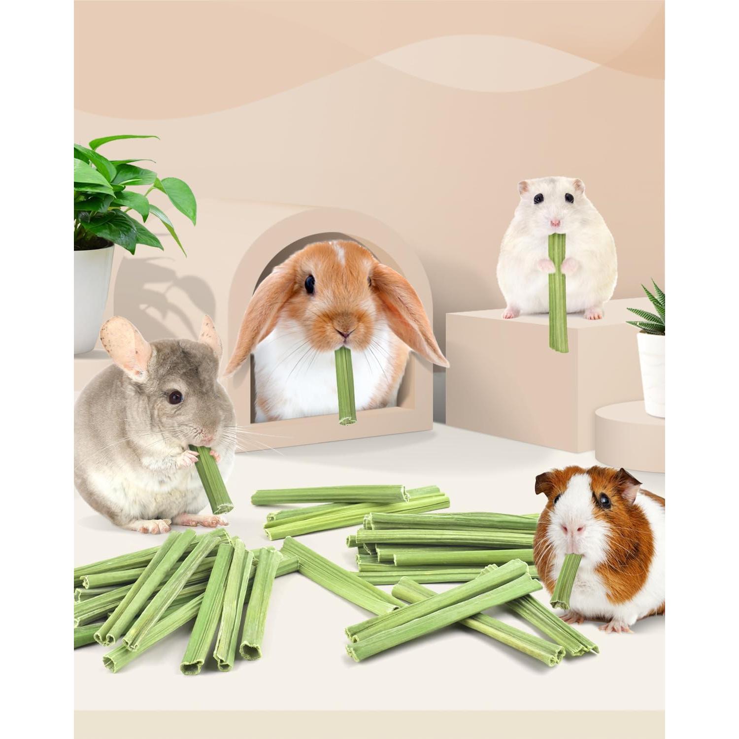 Bissap Palitos Masticables para Conejos 35PCS - Snack Natural