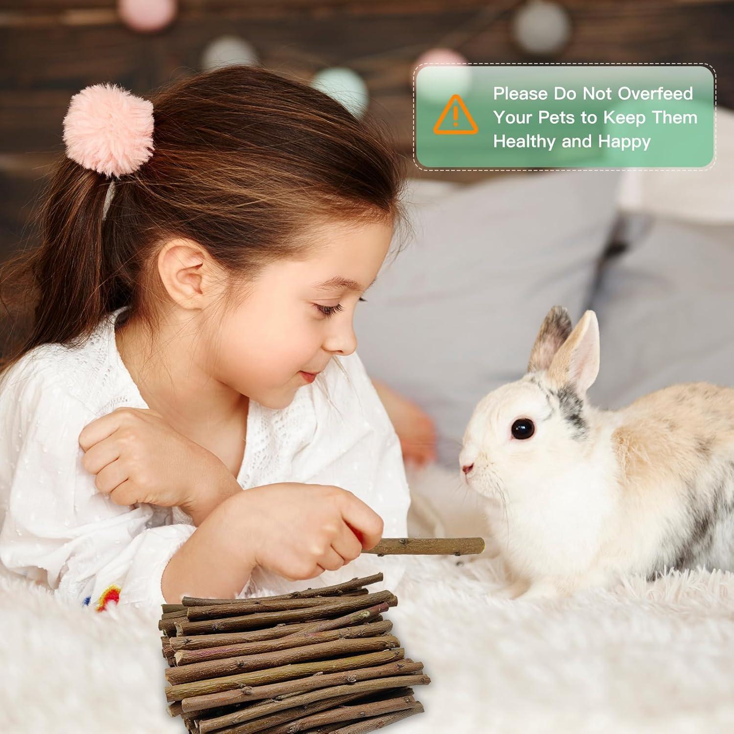 Palitos de Madera de Durazno Jorewood 250g para Roedores