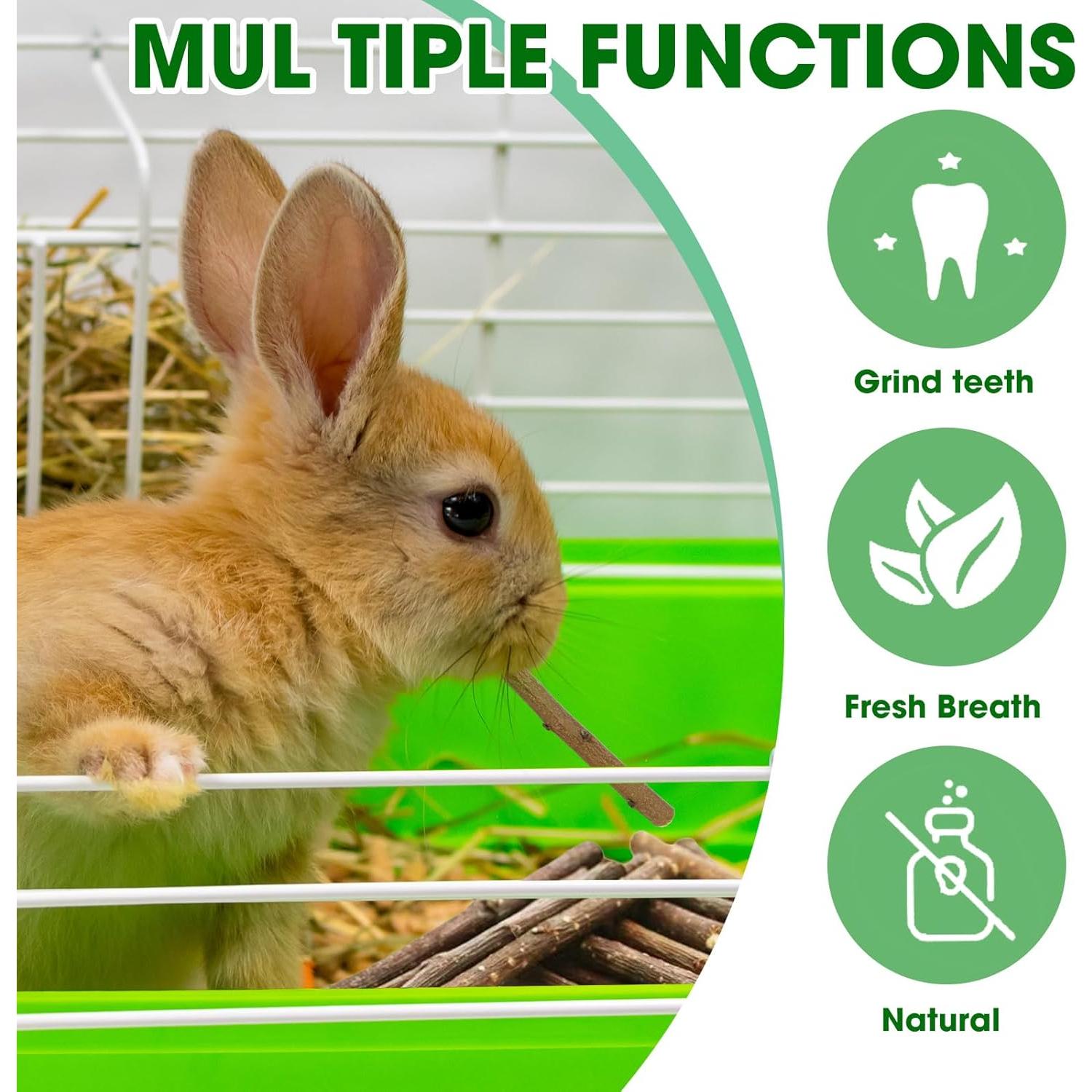 Palitos de Madera de Durazno Jorewood 250g para Roedores