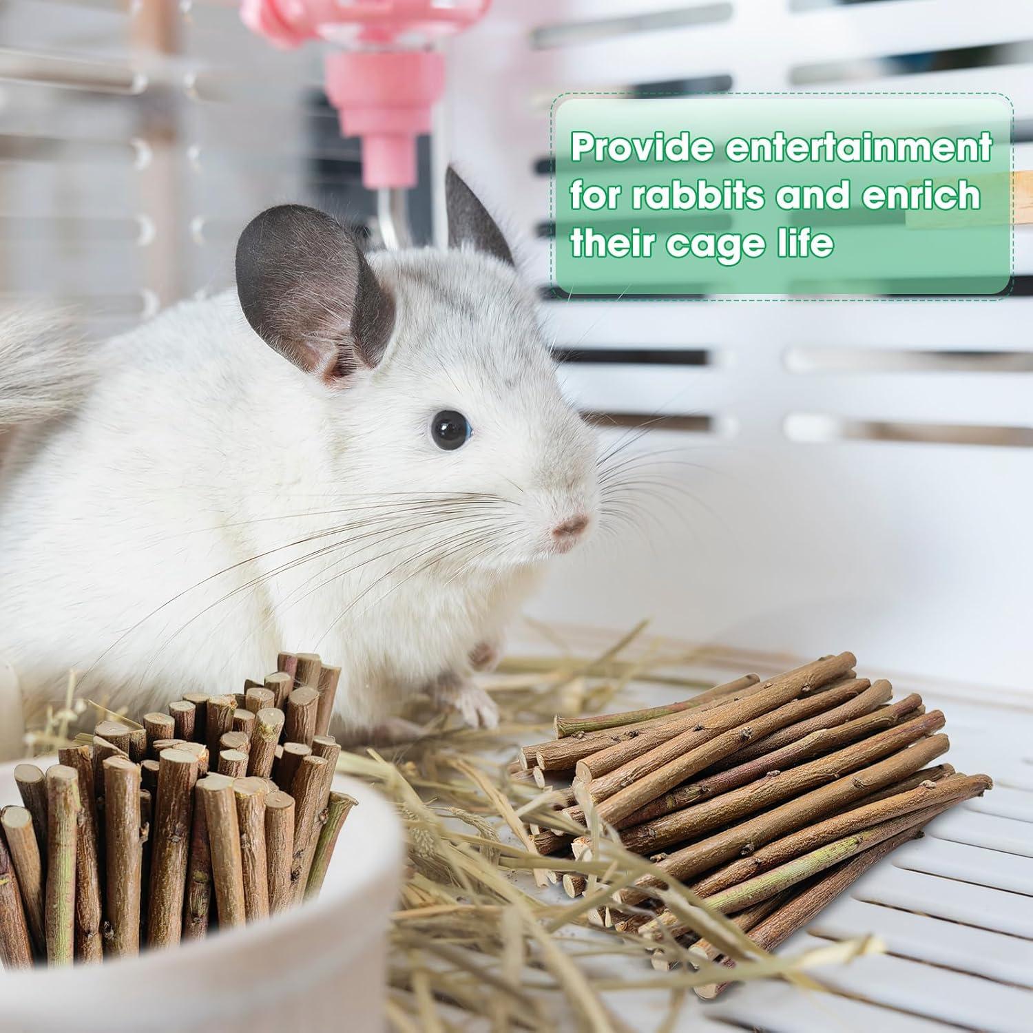 Palitos de Madera de Durazno Jorewood 250g para Roedores