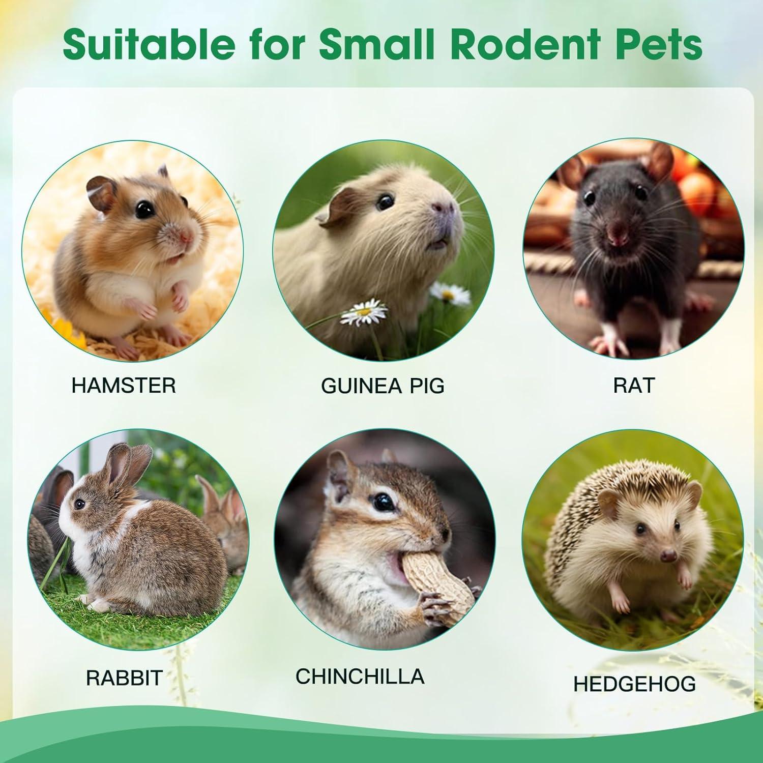 Palitos de Madera de Durazno Jorewood 250g para Roedores