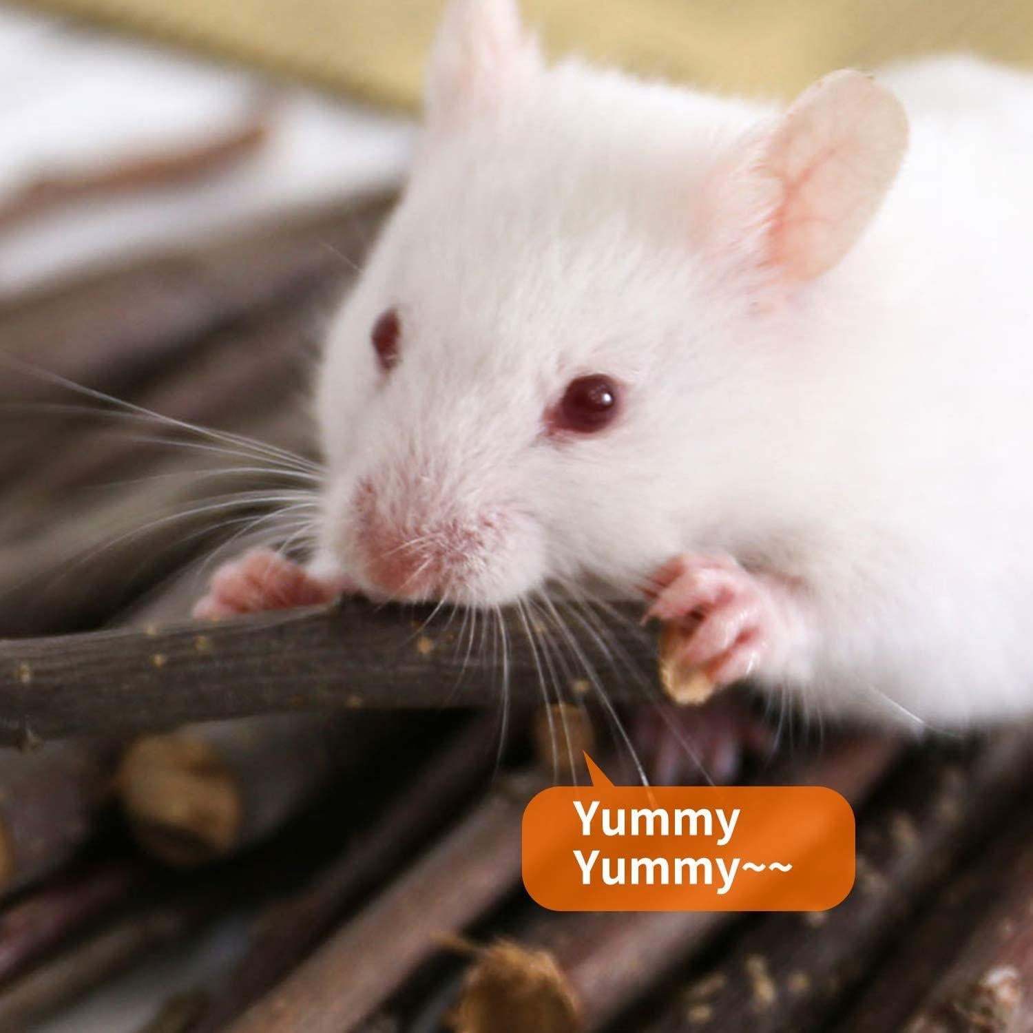 Palitos de Manzana Naturales CHUHUAYUAN 100g para Mascotas