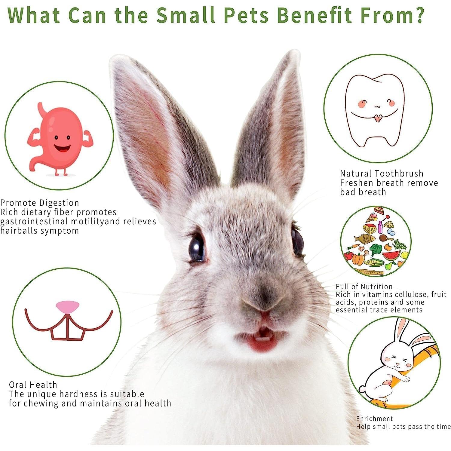 70 Palitos de Masticar para Conejos Petawi - Heno Timothy Natural