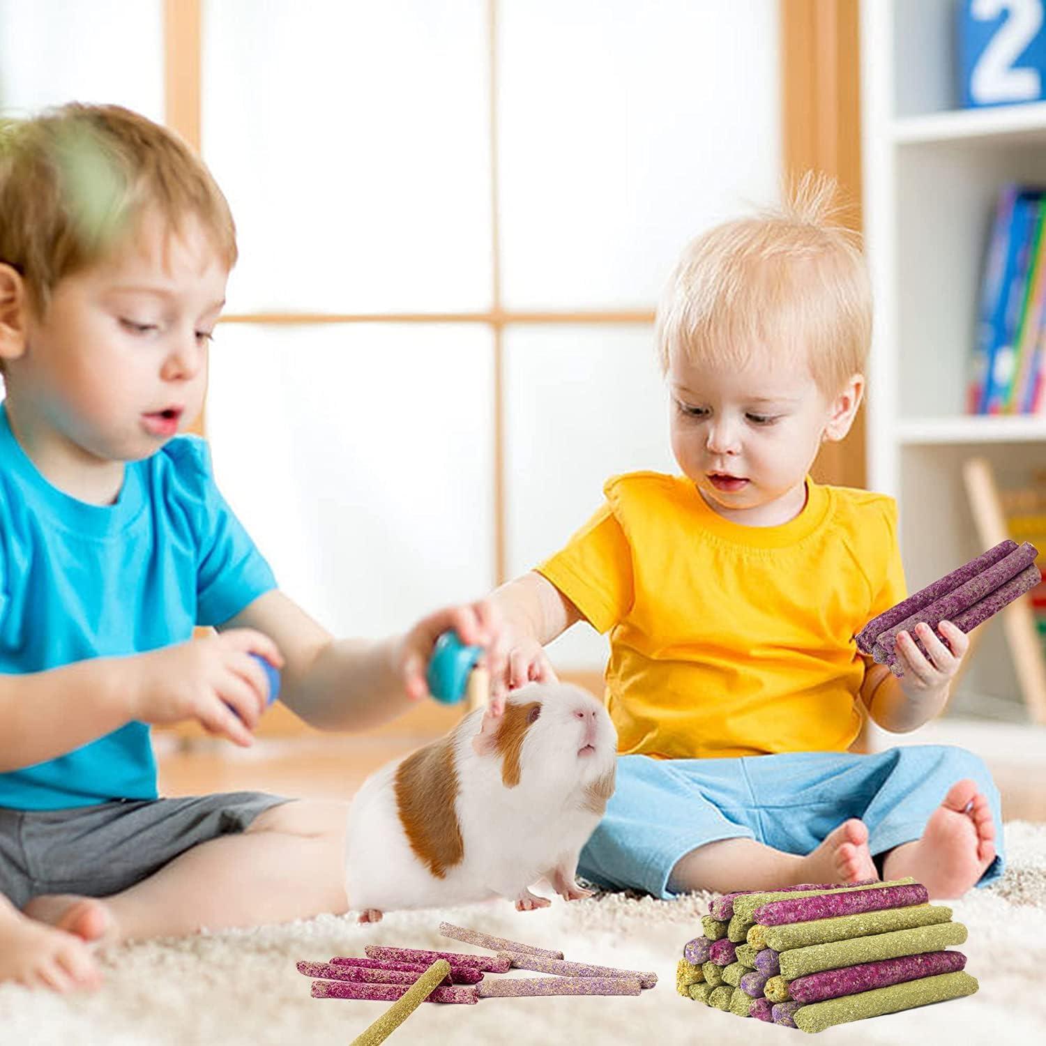70 Palitos de Masticar para Conejos Petawi - Heno Timothy Natural