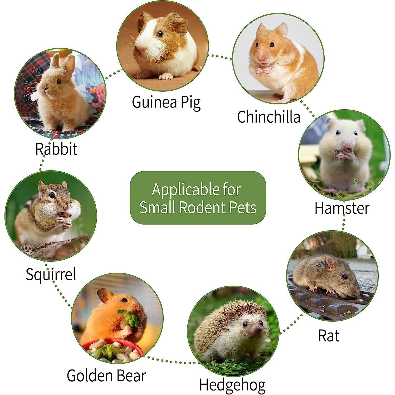 70 Palitos de Masticar para Conejos Petawi - Heno Timothy Natural