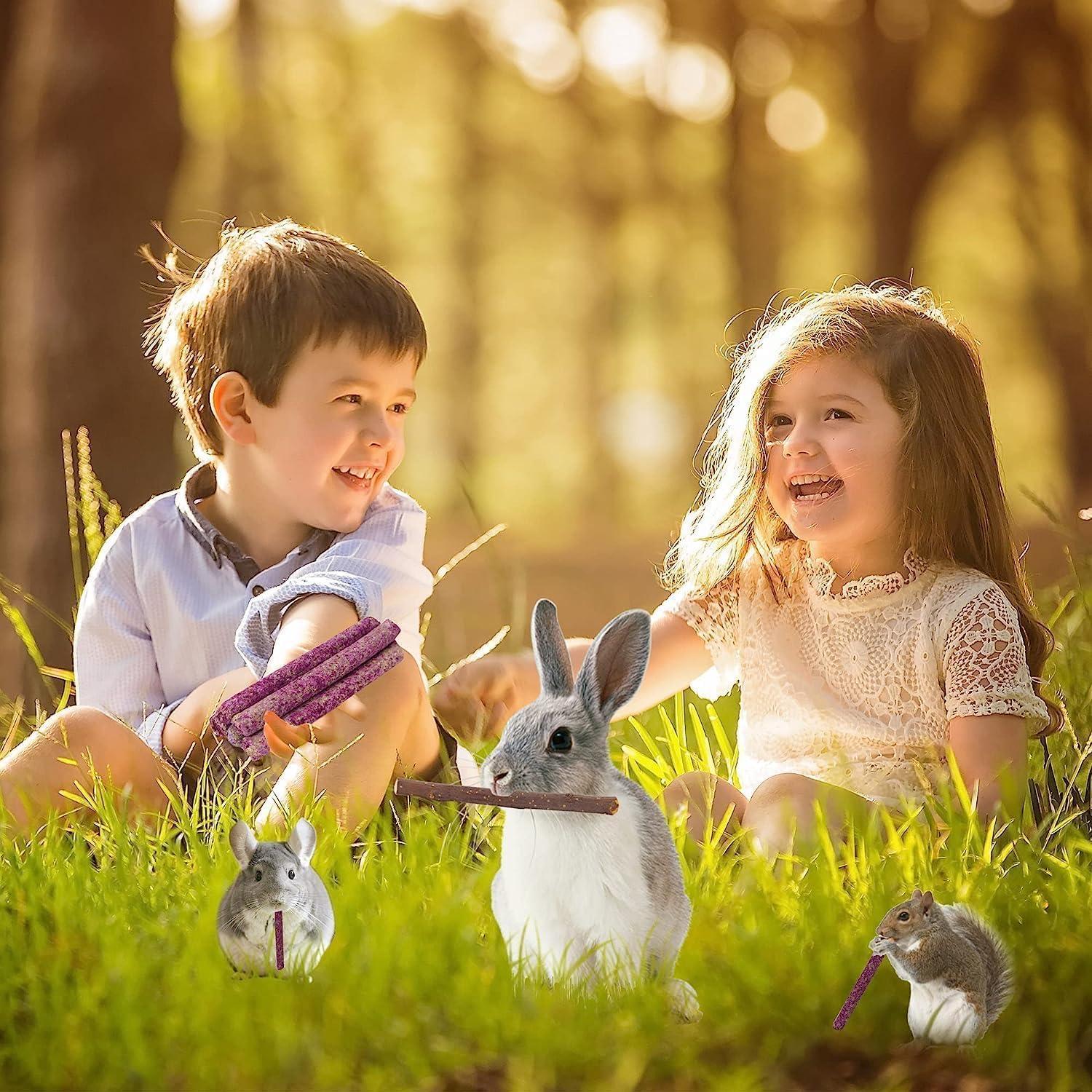 70 Palitos de Masticar para Conejos Petawi - Heno Timothy Natural