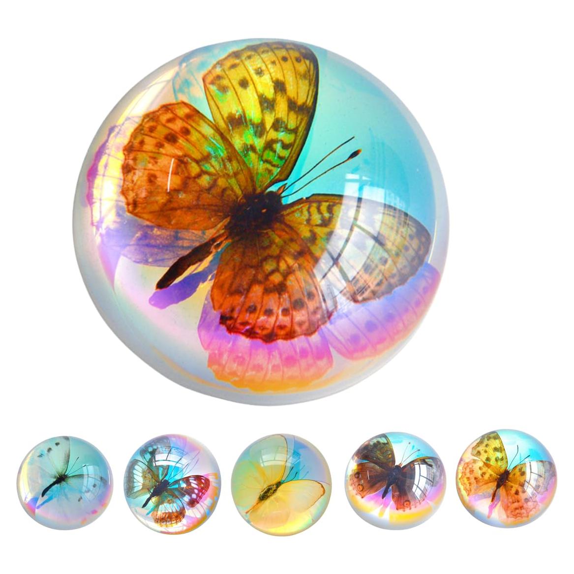 Especímenes de Mariposa de Resina SINGEWOW - Educativos 10.1cm