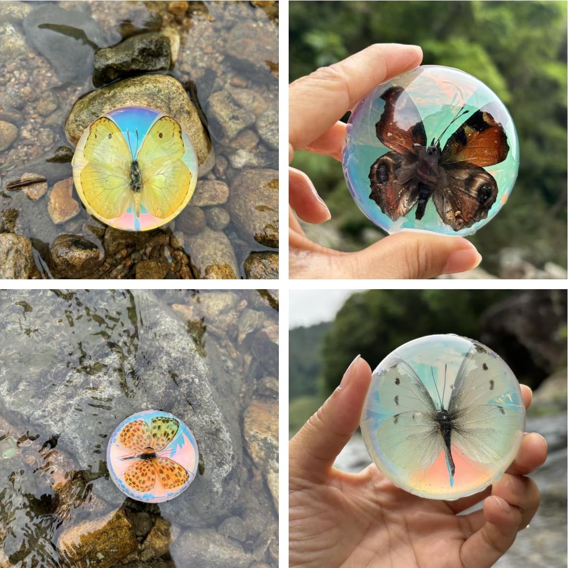 Especímenes de Mariposa de Resina SINGEWOW - Educativos 10.1cm