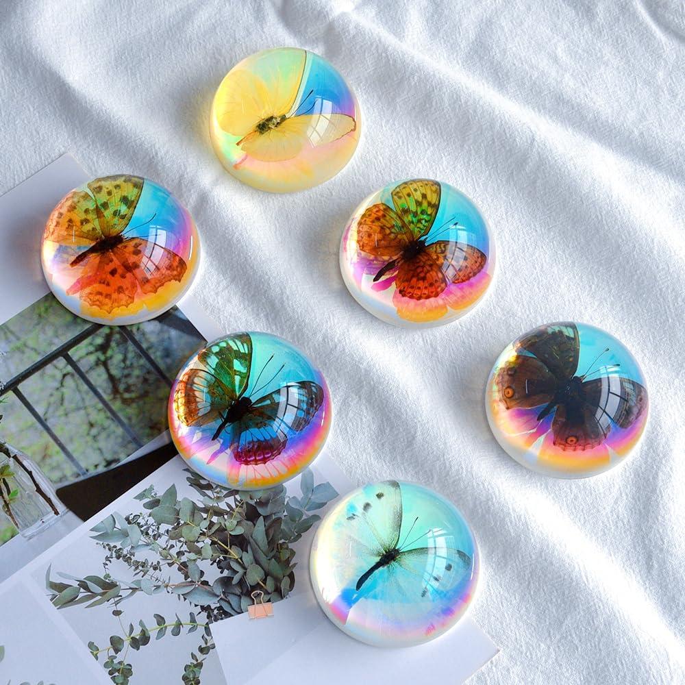 Especímenes de Mariposa de Resina SINGEWOW - Educativos 10.1cm