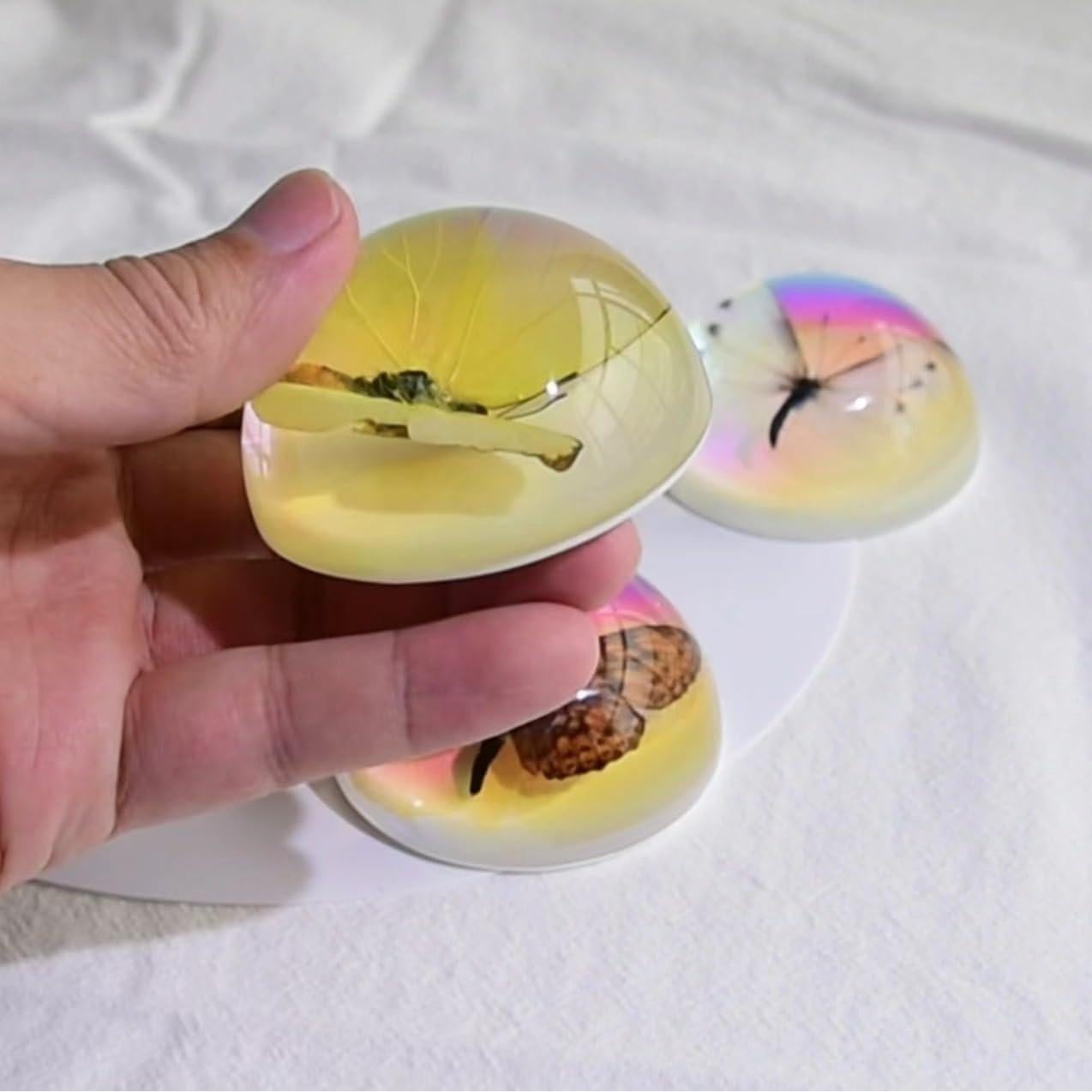 Especímenes de Mariposa de Resina SINGEWOW - Educativos 10.1cm