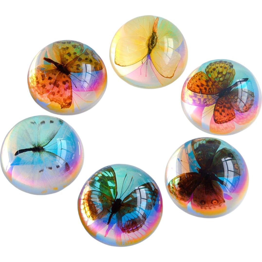 Especímenes de Mariposa de Resina SINGEWOW - Educativos 10.1cm