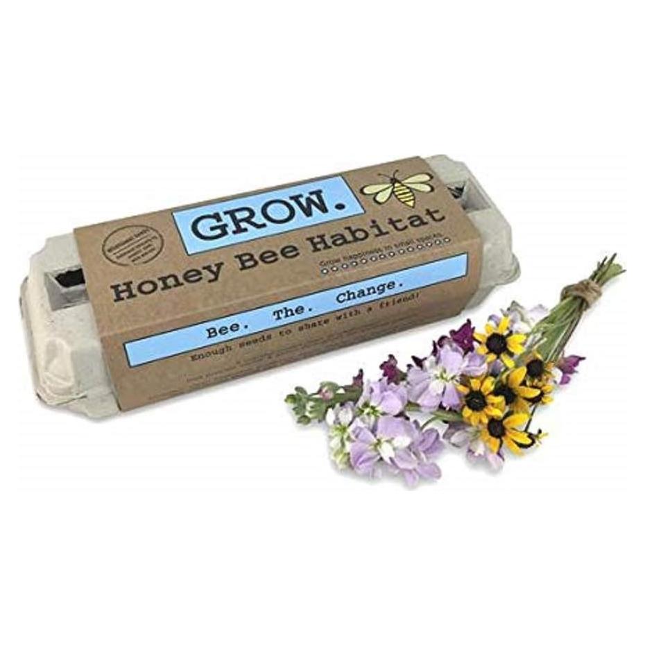 Kit de Jardinería Habitat de Abejas - Compañía Safari de Patio
