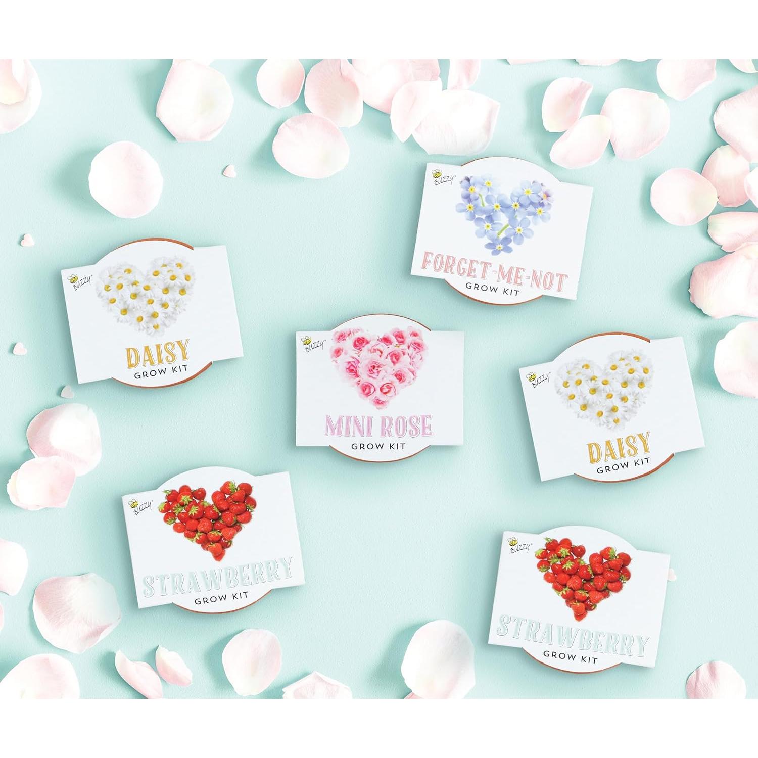 Kit de Semillas en Macetas de Terracota Buzzy - 6 Piezas