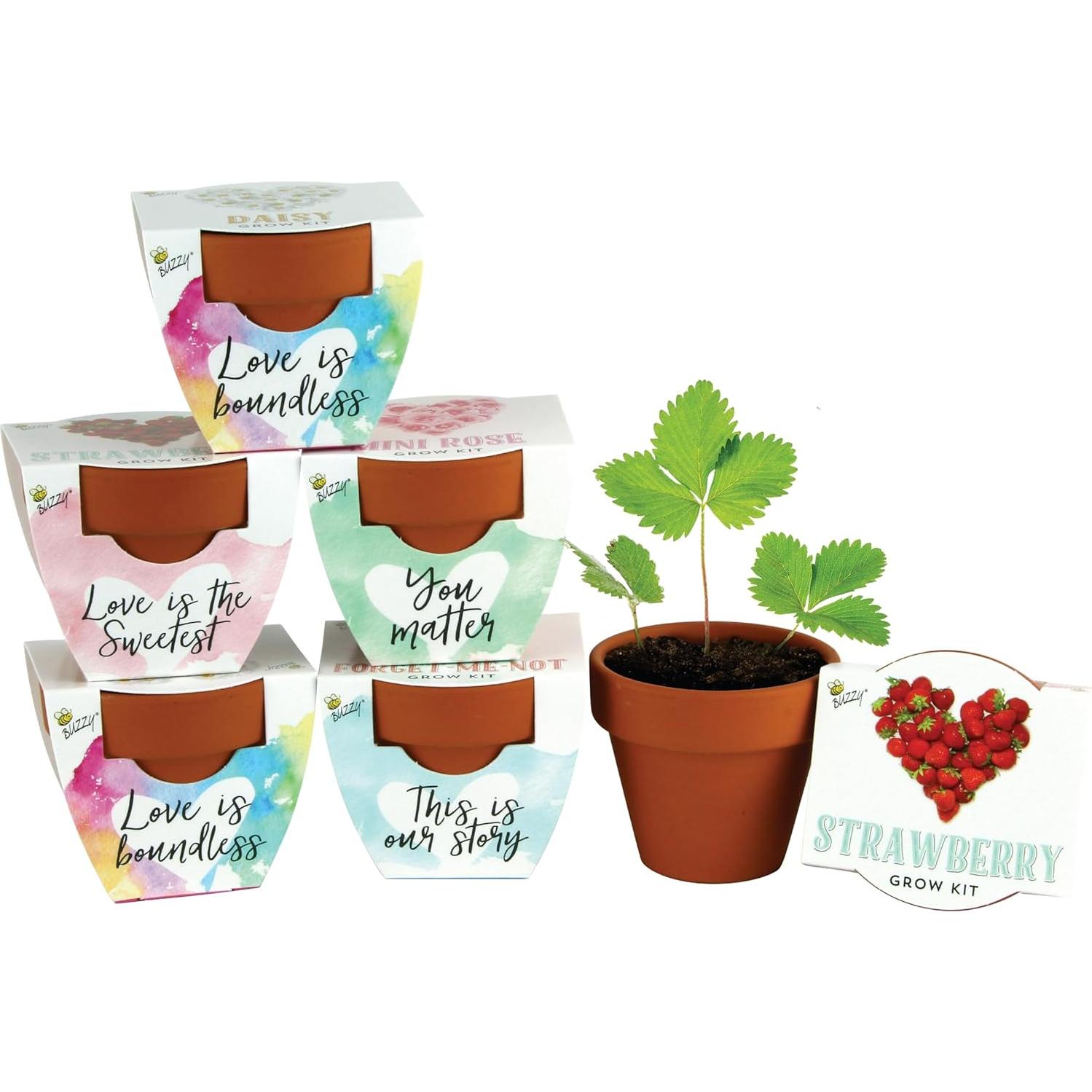 Kit de Semillas en Macetas de Terracota Buzzy - 6 Piezas