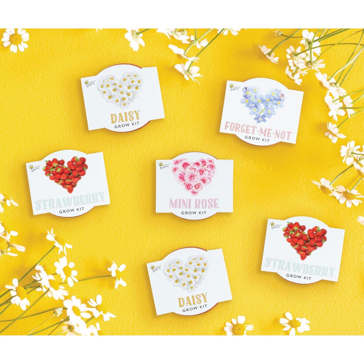 Kit de Semillas en Macetas de Terracota Buzzy - 6 Piezas