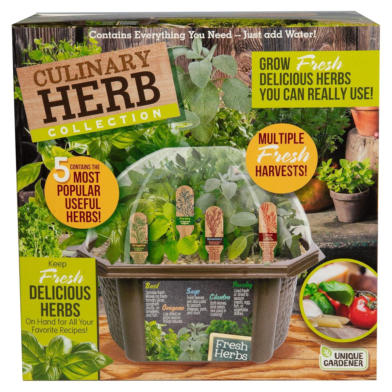 Kit de Jardín de Hierbas Interior Jardinero Único - Albahaca, Orégano, Romero, Salvia, Cilantro