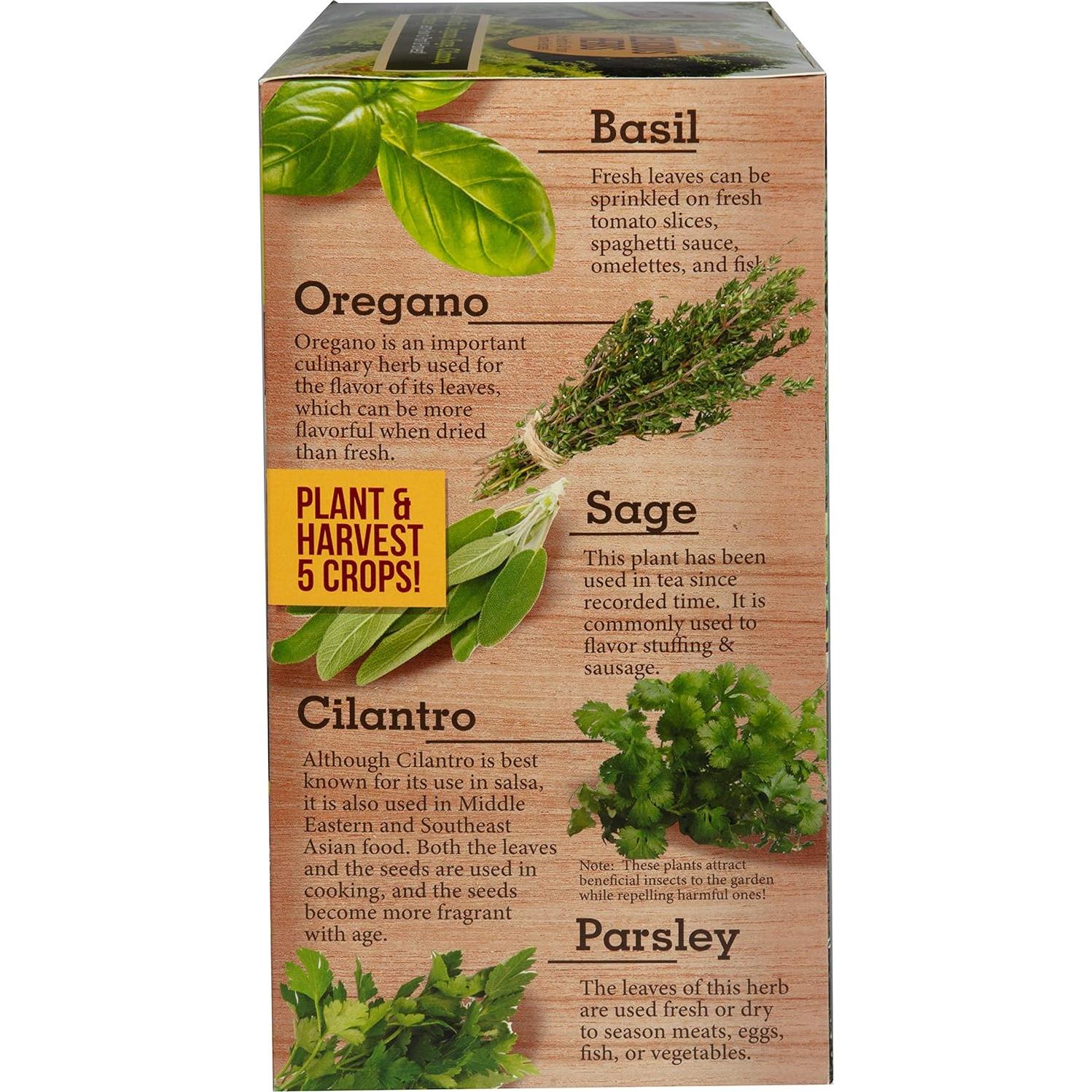 Kit de Jardín de Hierbas Interior Jardinero Único - Albahaca, Orégano, Romero, Salvia, Cilantro