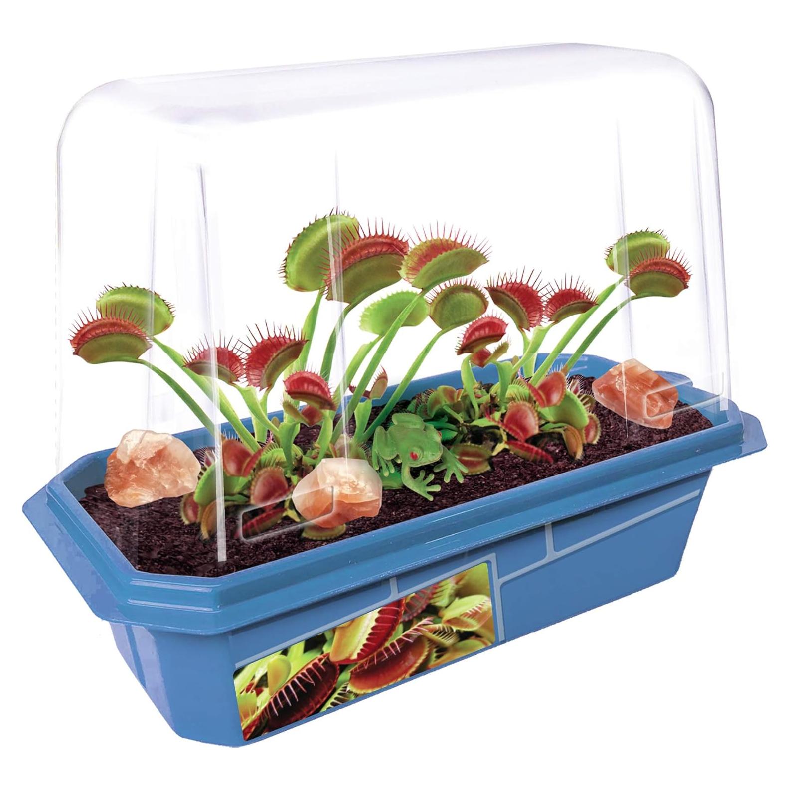 Kits de Terrario Atrapamoscas Aterradores Toys By Nature - Cultiva Plantas Carnívoras