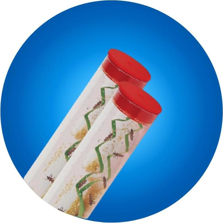 Insect Lore - Dos Tubos de Larvas de Mariquita Vivas - 20-25 Larvas