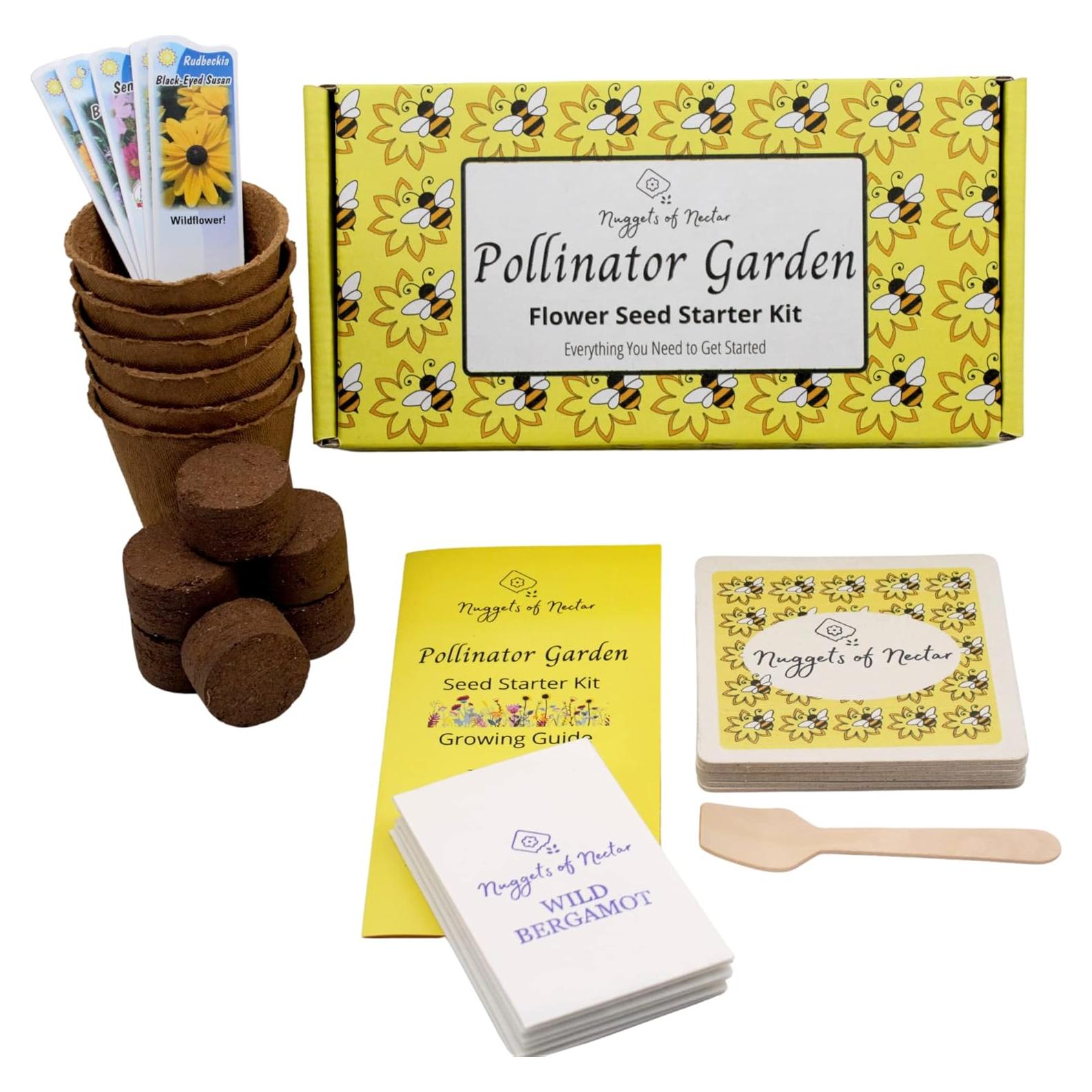 Kit de Semillas de Flores Silvestres Nuggets of Nectar - 6 Tipos