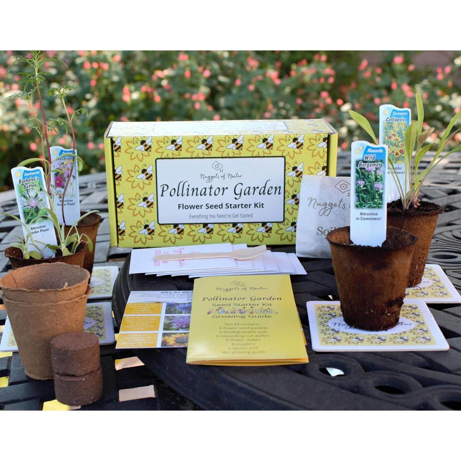 Kit de Semillas de Flores Silvestres Nuggets of Nectar - 6 Tipos