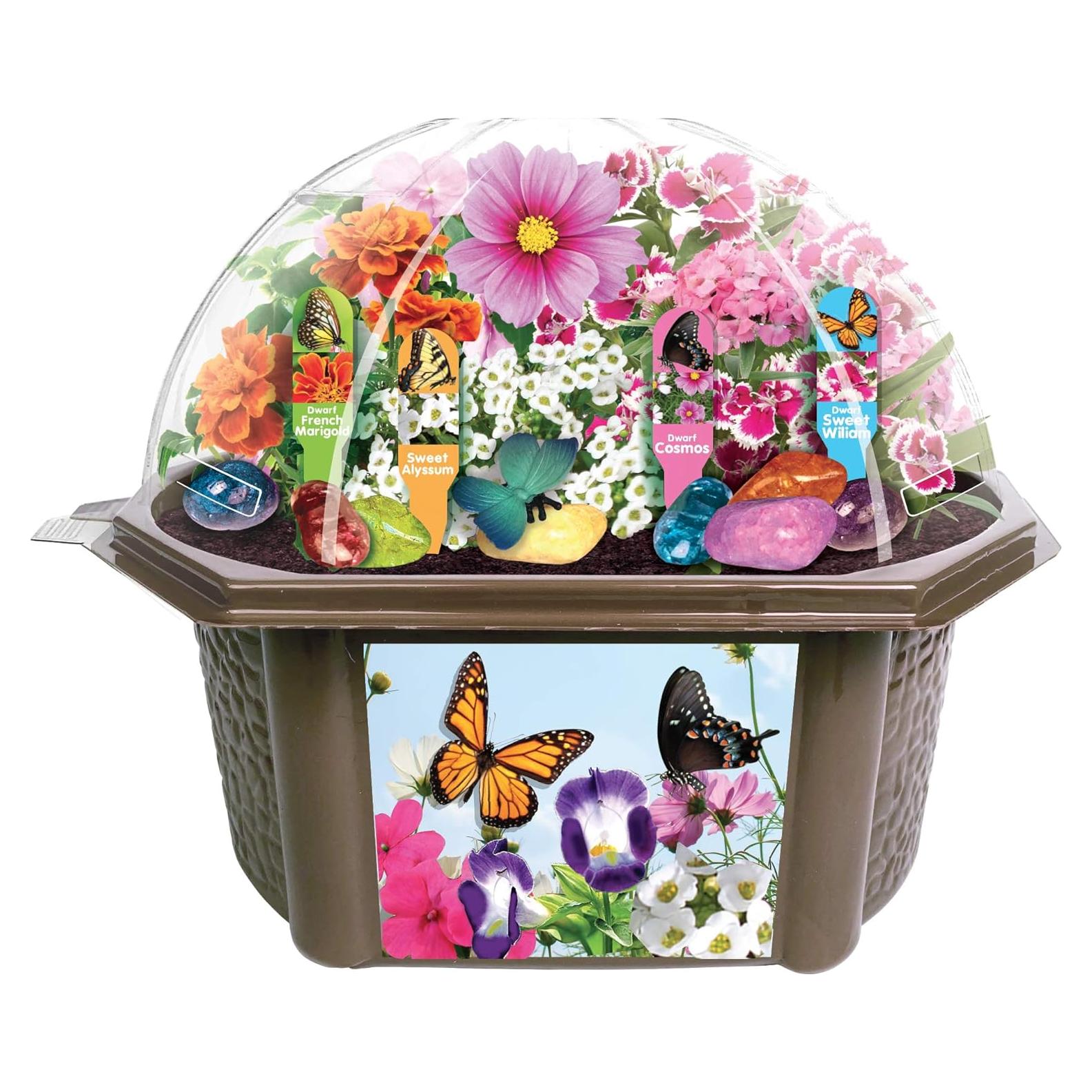 Kit de Terrario Biosfera Toys by Nature - Jardín de Mariposas