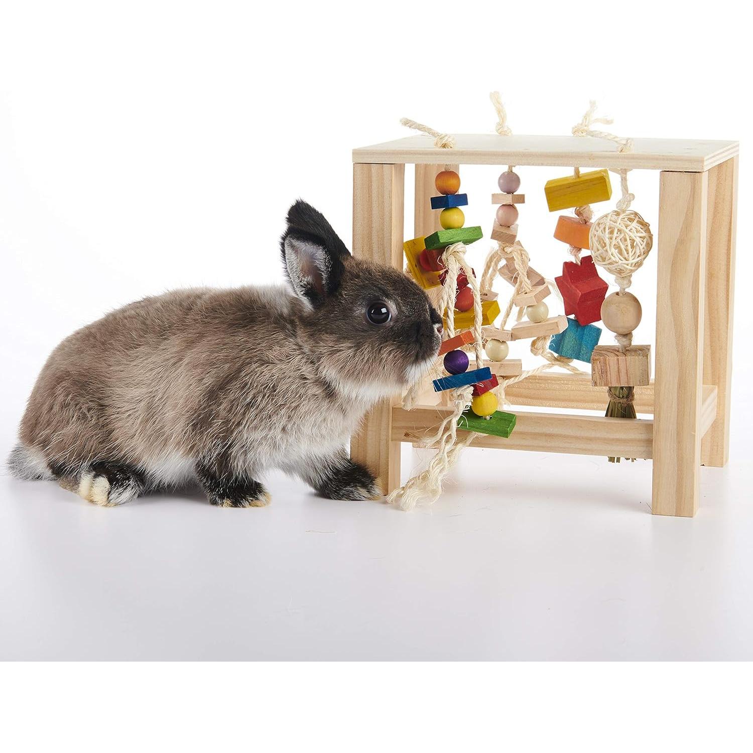 Mesa de Juego Oxbow para Conejos y Cobayas 15.5x20.1cm