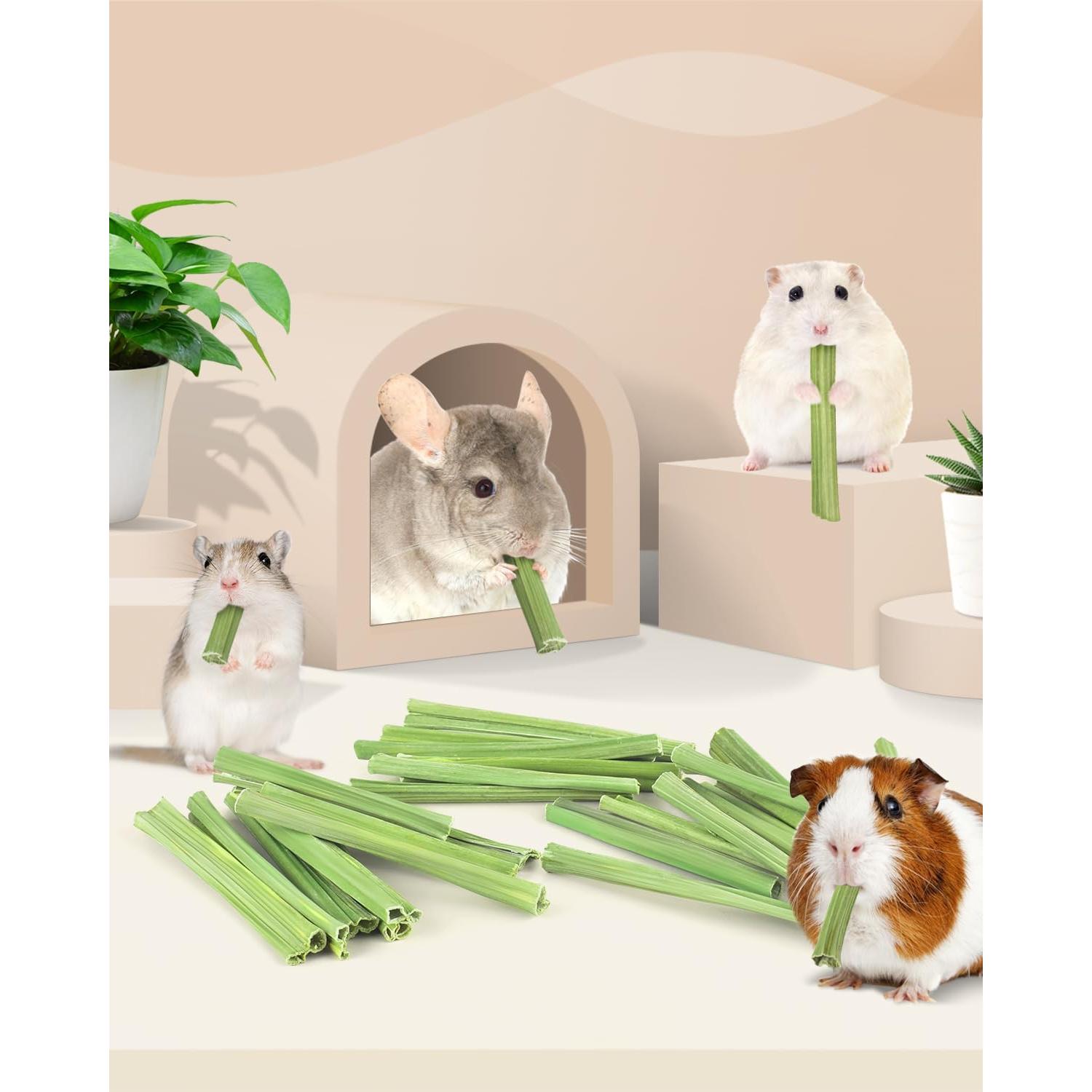 Bissap Palitos de Masticar Naturales para Mascotas 25 PCS