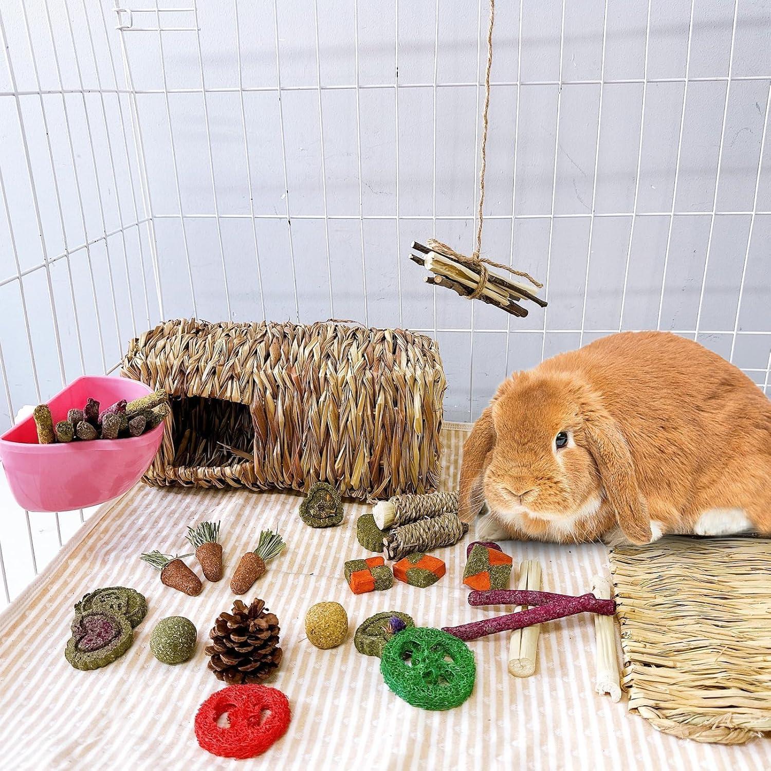 Juguetes Masticables para Conejos Hamiledyi 450g Pasto Timothy