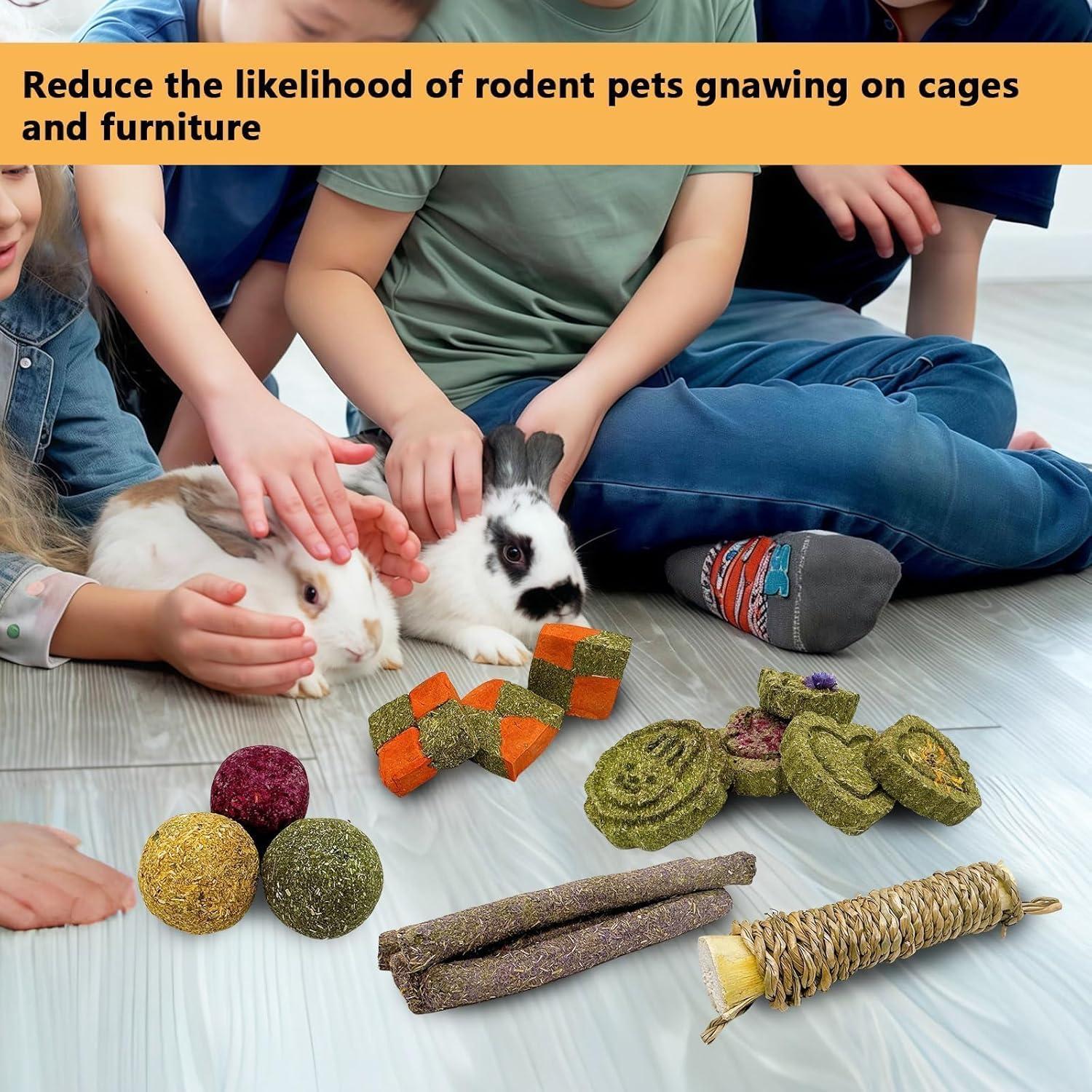 Juguetes Masticables para Conejos Hamiledyi 450g Pasto Timothy