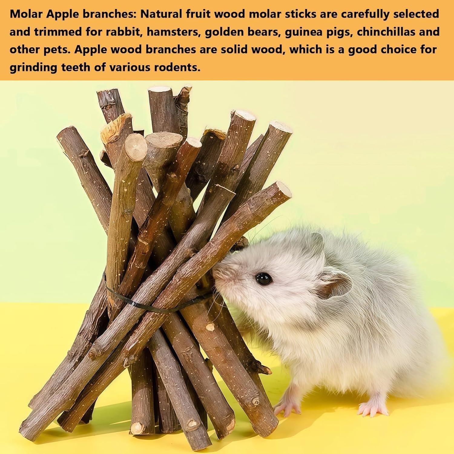 Juguetes Masticables para Conejos Hamiledyi 450g Pasto Timothy