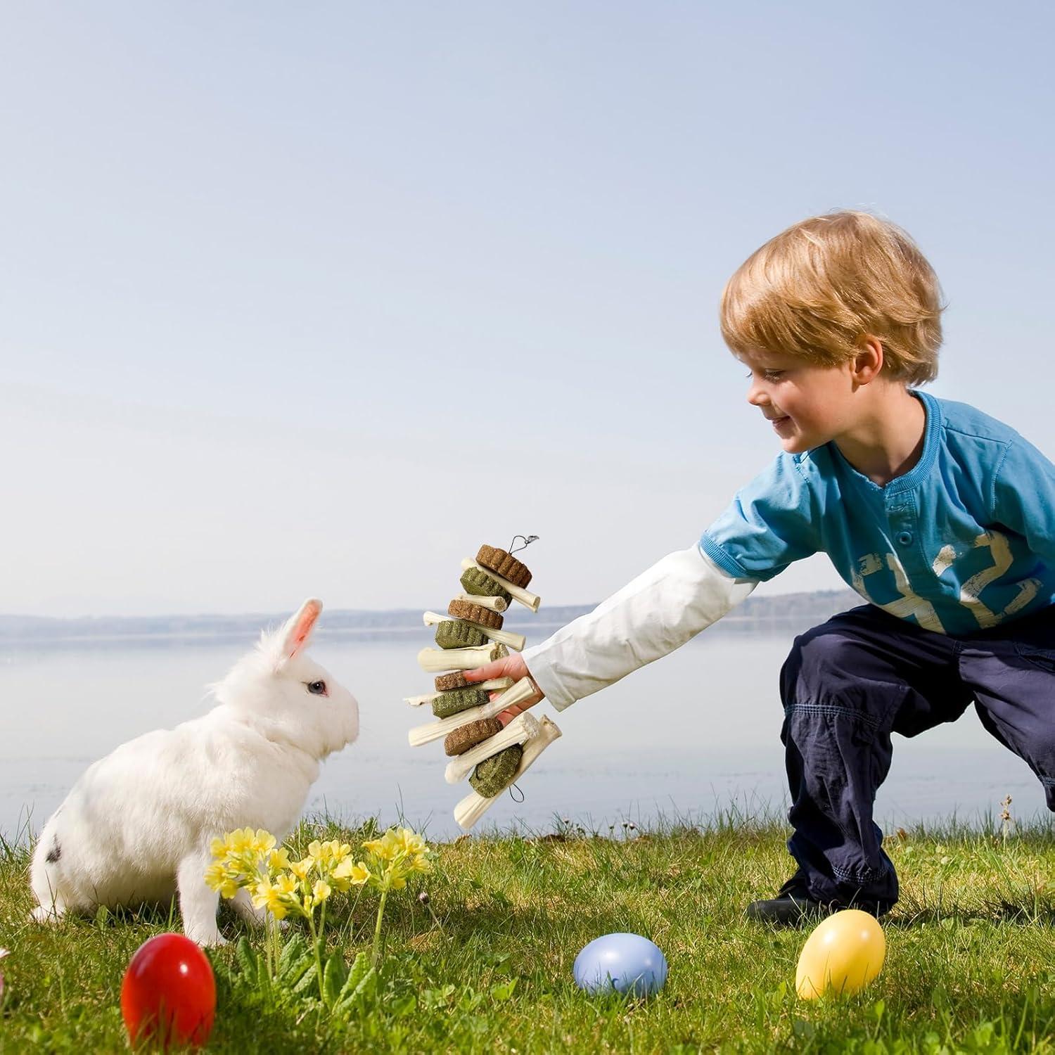 3 Juguetes de Masticar para Conejos Hamiledyi - Pastel de Hierba Natural
