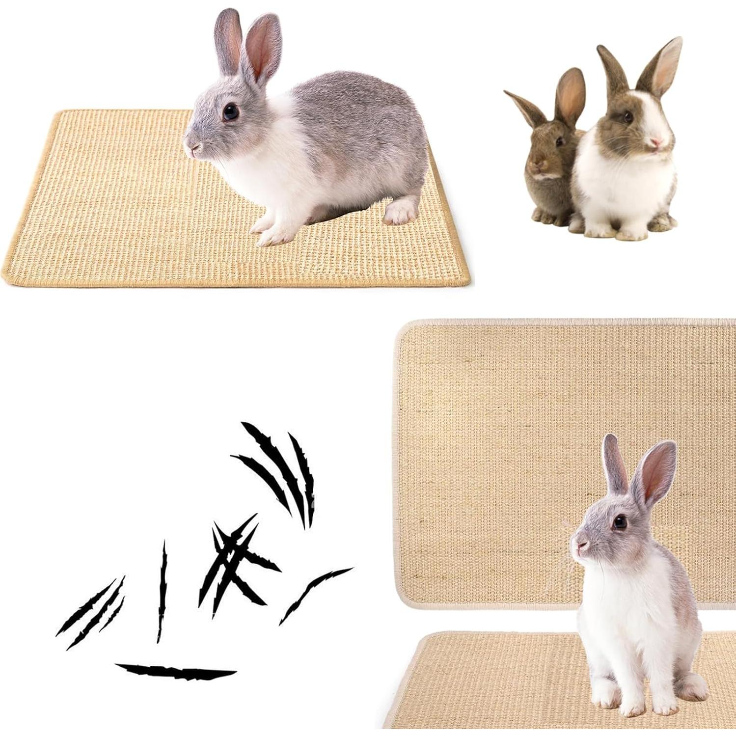 Alfombra Rascadora para Conejos KABASI 2 Piezas 40x30 cm