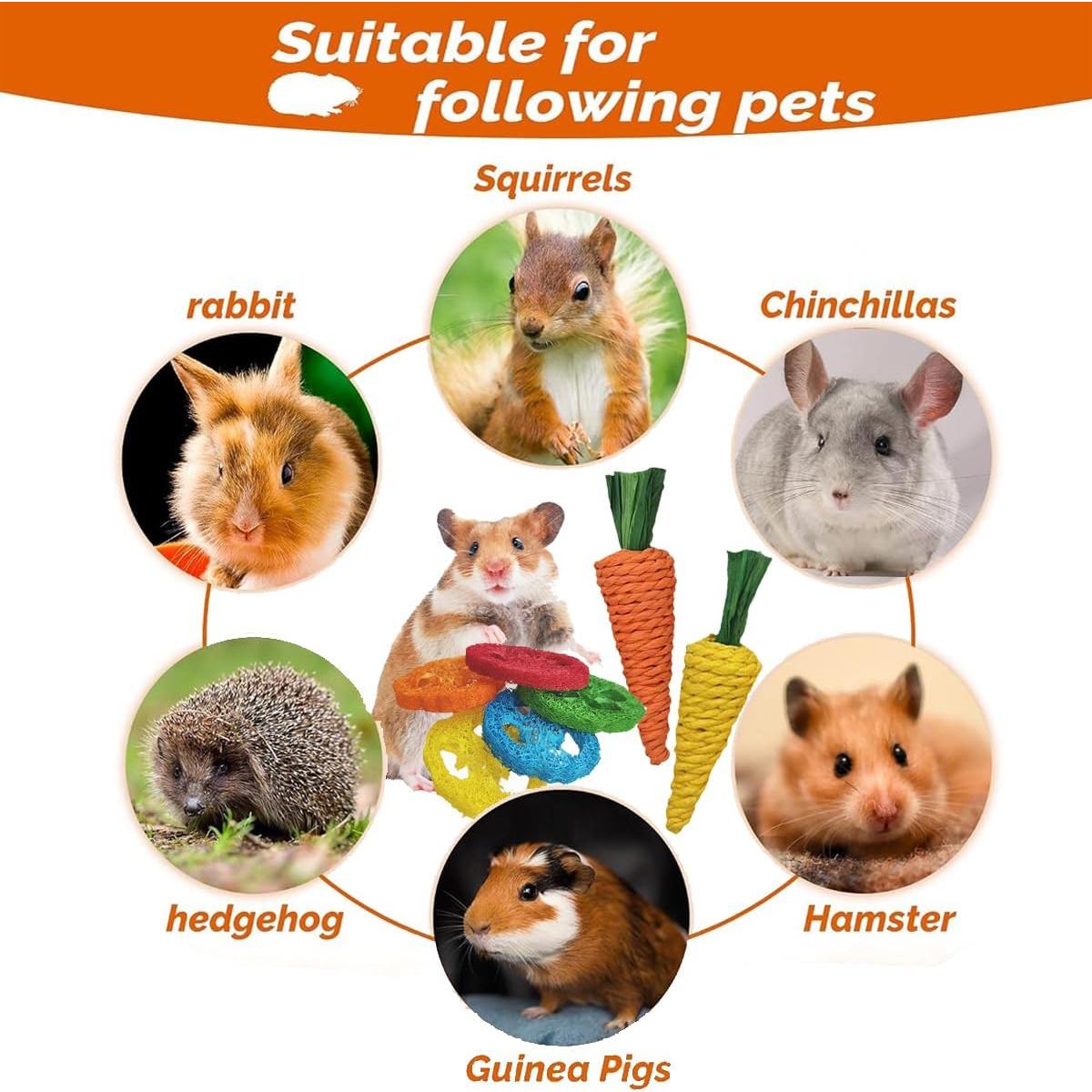 Juguetes Naturales para Conejos Slicon - 20 Piezas Masticar