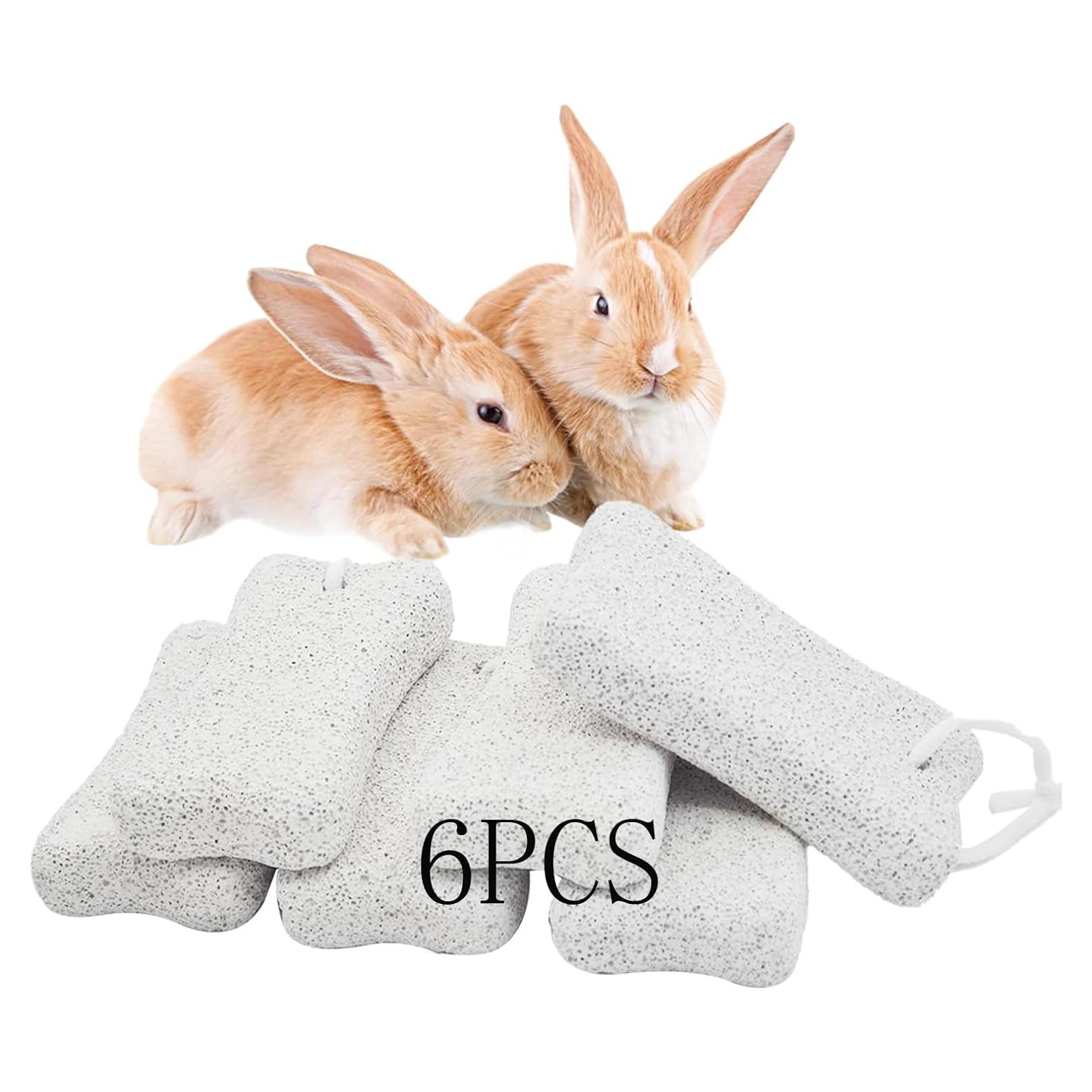 Bloques de Lava para Conejos PINVNBY - 6 Pcs, Salud Dental