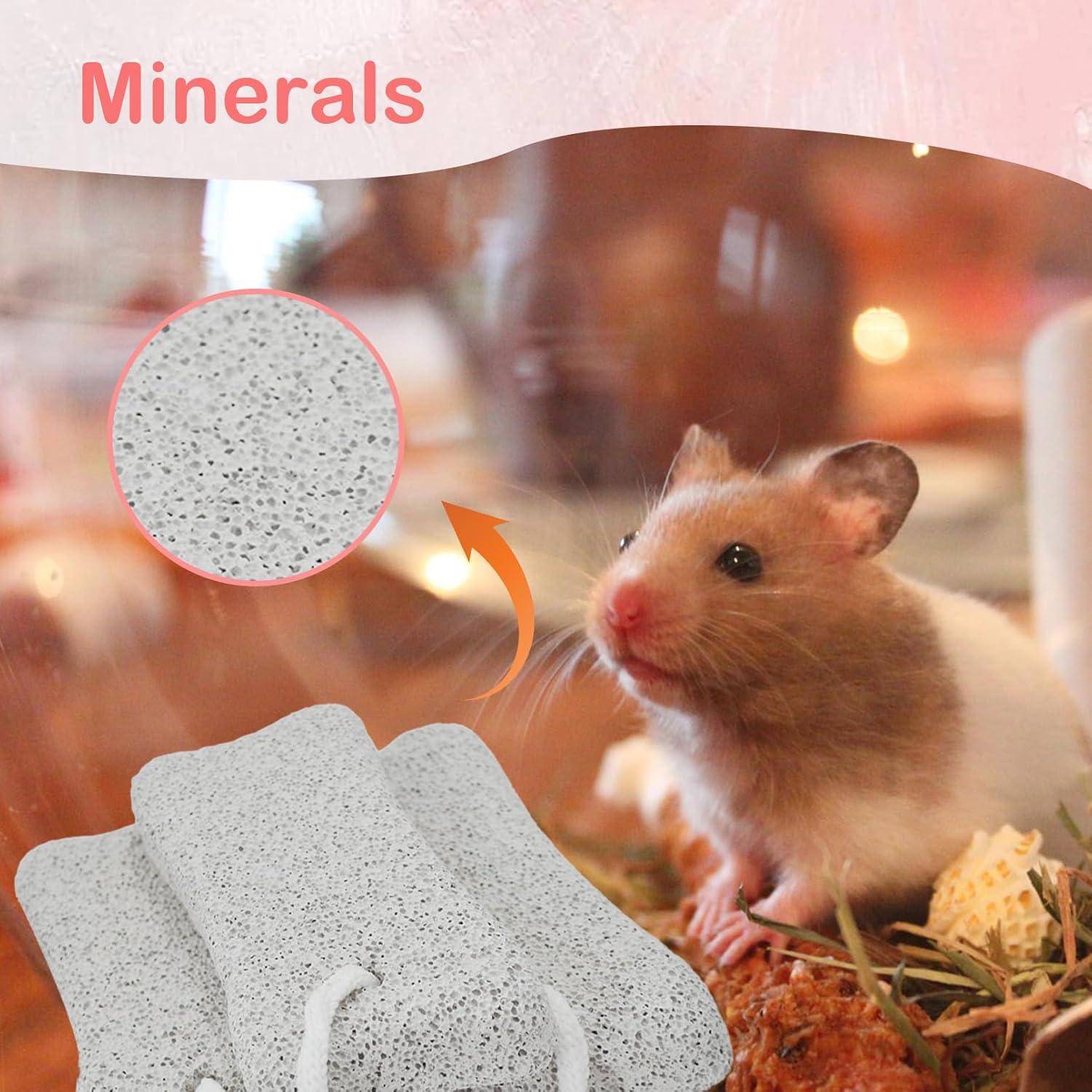 Bloques de Lava para Conejos PINVNBY - 6 Pcs, Salud Dental