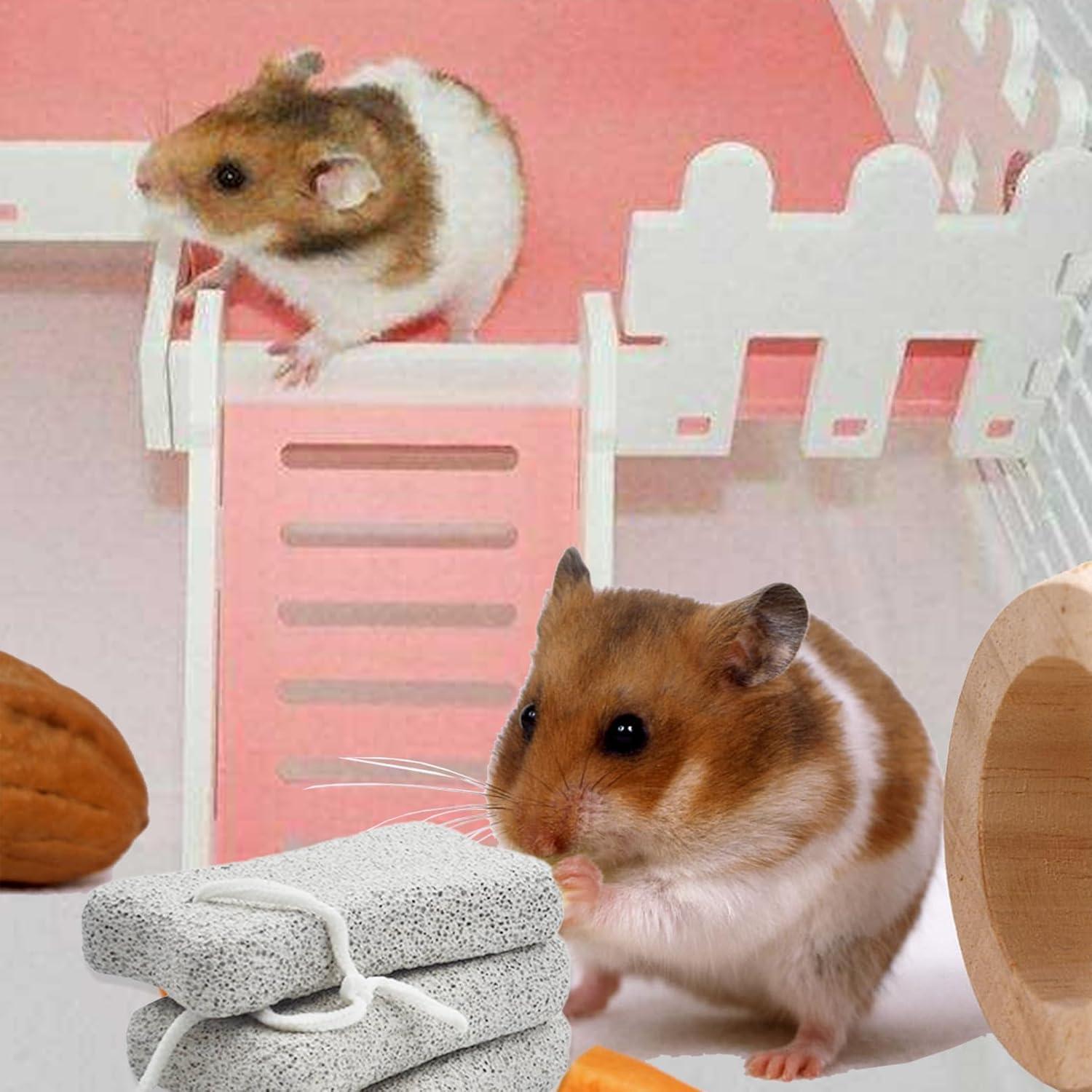 Bloques de Lava para Conejos PINVNBY - 6 Pcs, Salud Dental